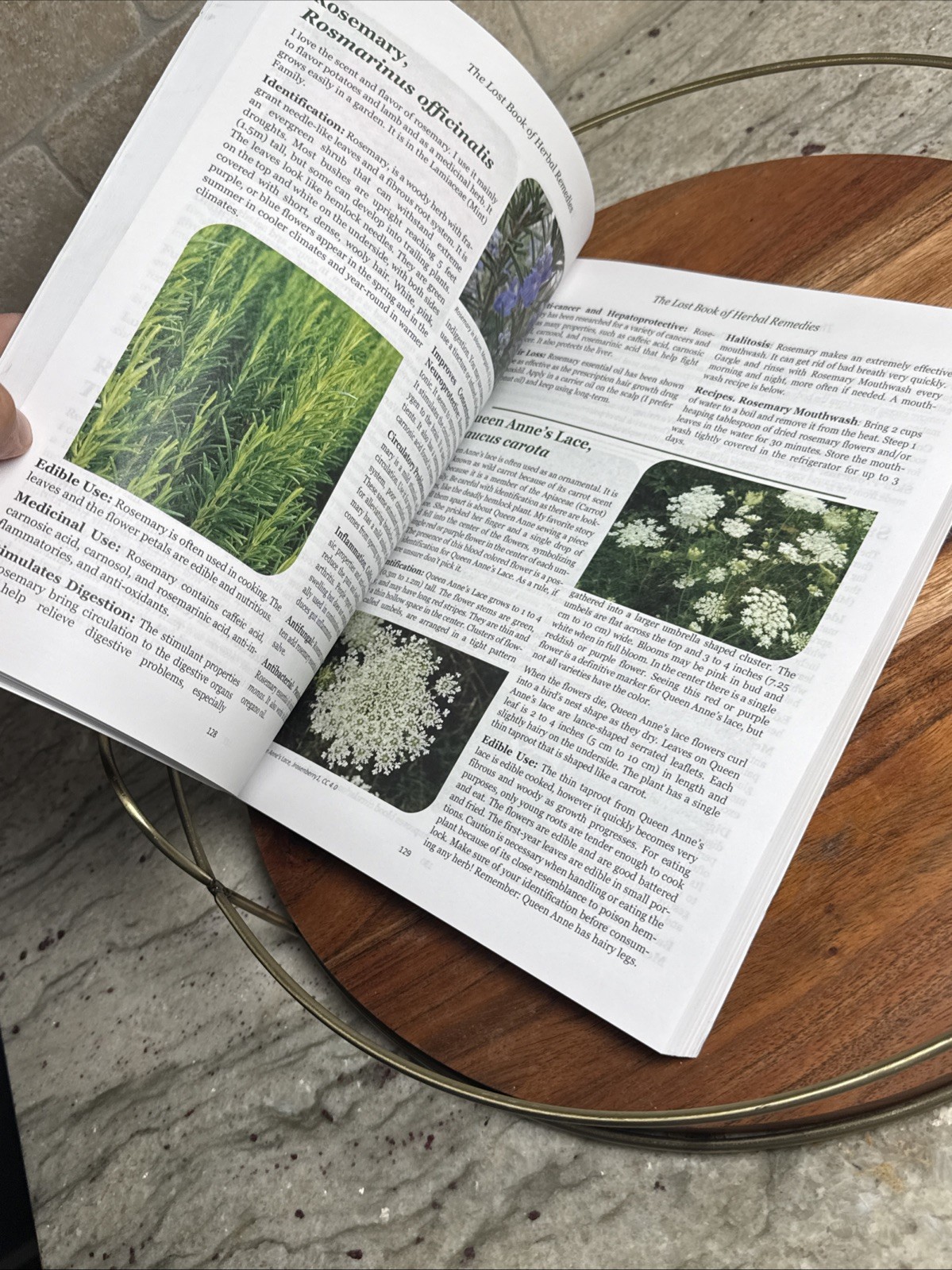 Lost Book Of Herbal Remedies: Healing Power Plant Medicine Apelian & Davis