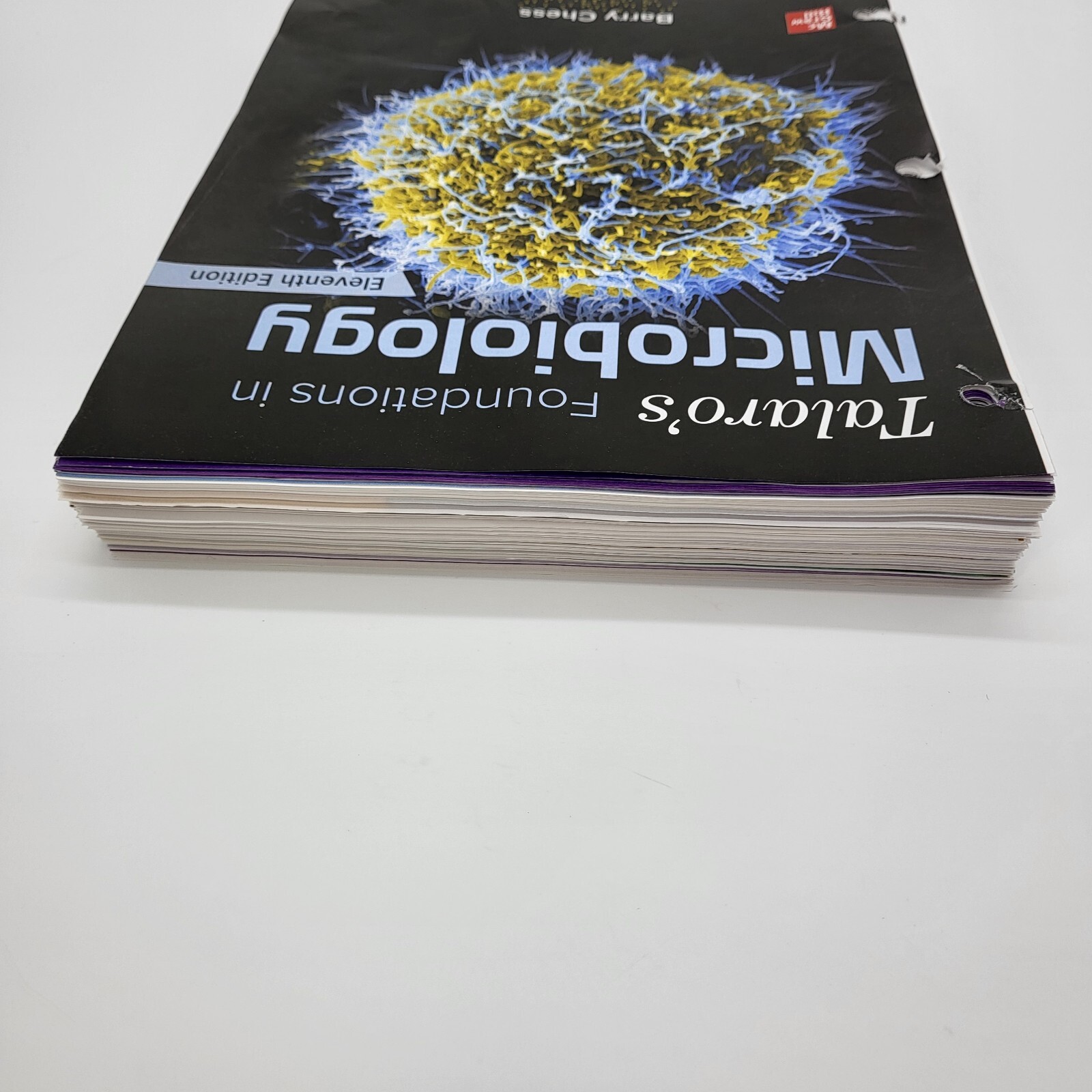 Talaro’s Foundations in Microbiology 11th Edition – Loose Leaf Pages Barry Chess