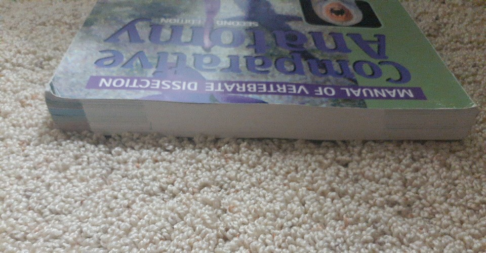 Comparative Anatomy : Manual of Vertebrate Dissection by Dale W. Fishbeck and…