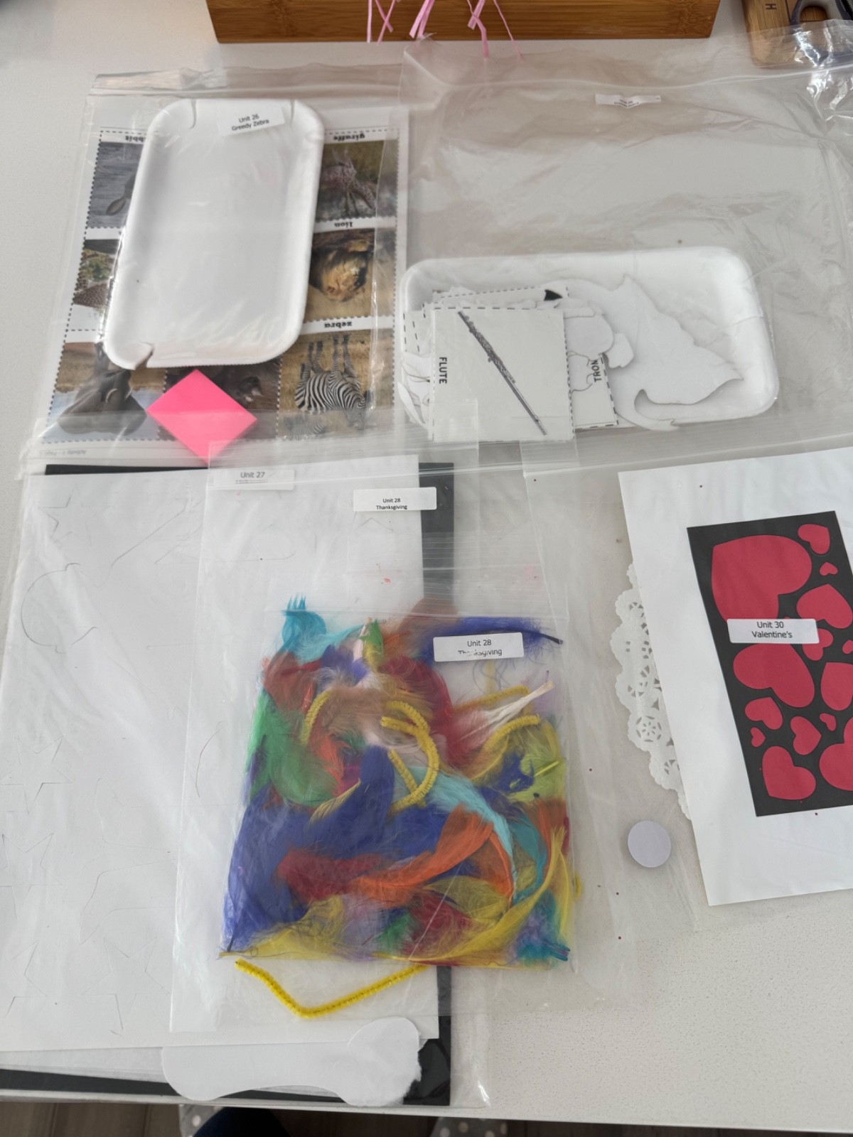Moving Beyond The Page- Ages 4-5 Parent Manual + Materials Kit (26/30)