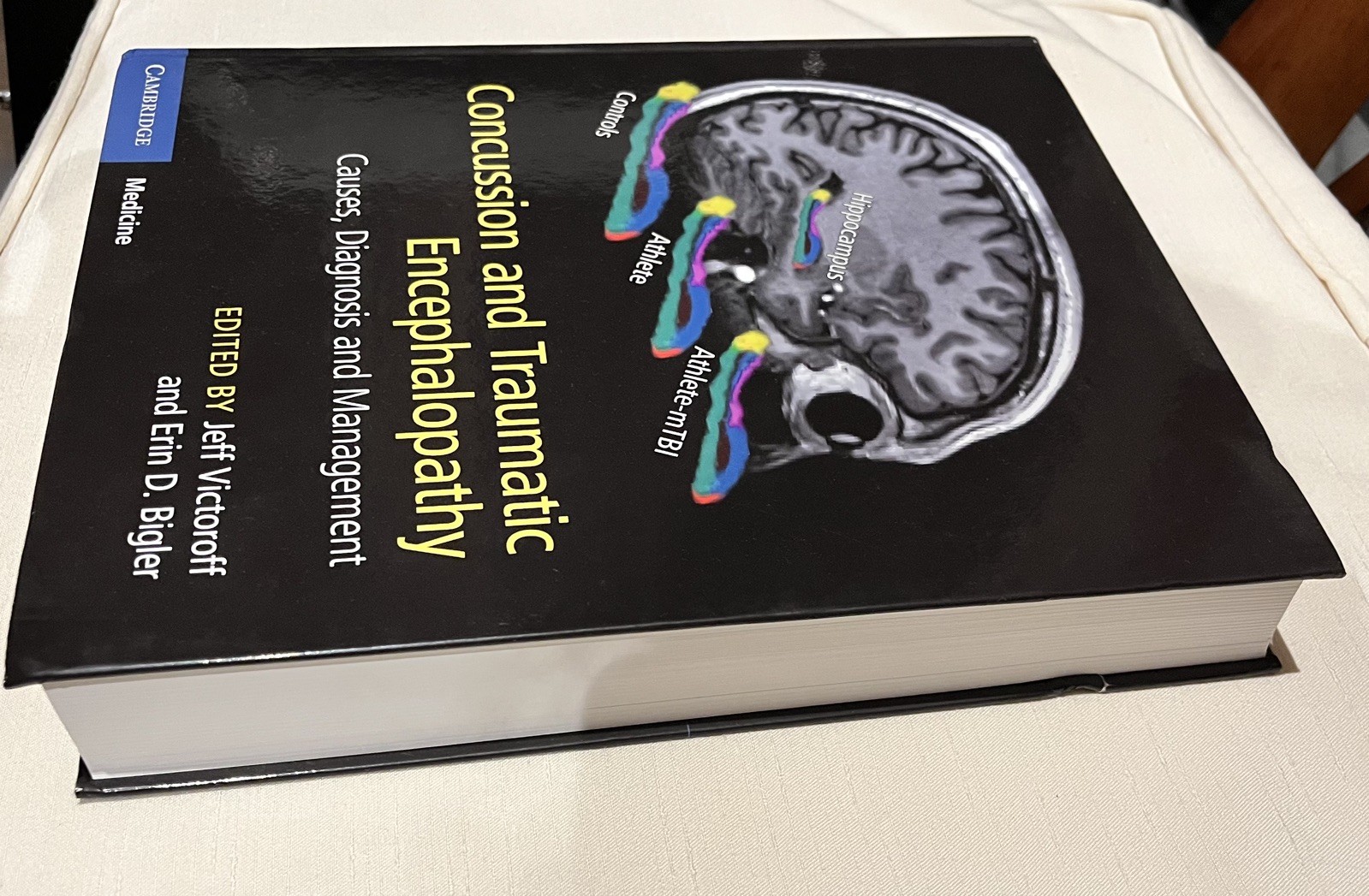 Leading textbook for all neurologists, and brain-related physicians. New unused