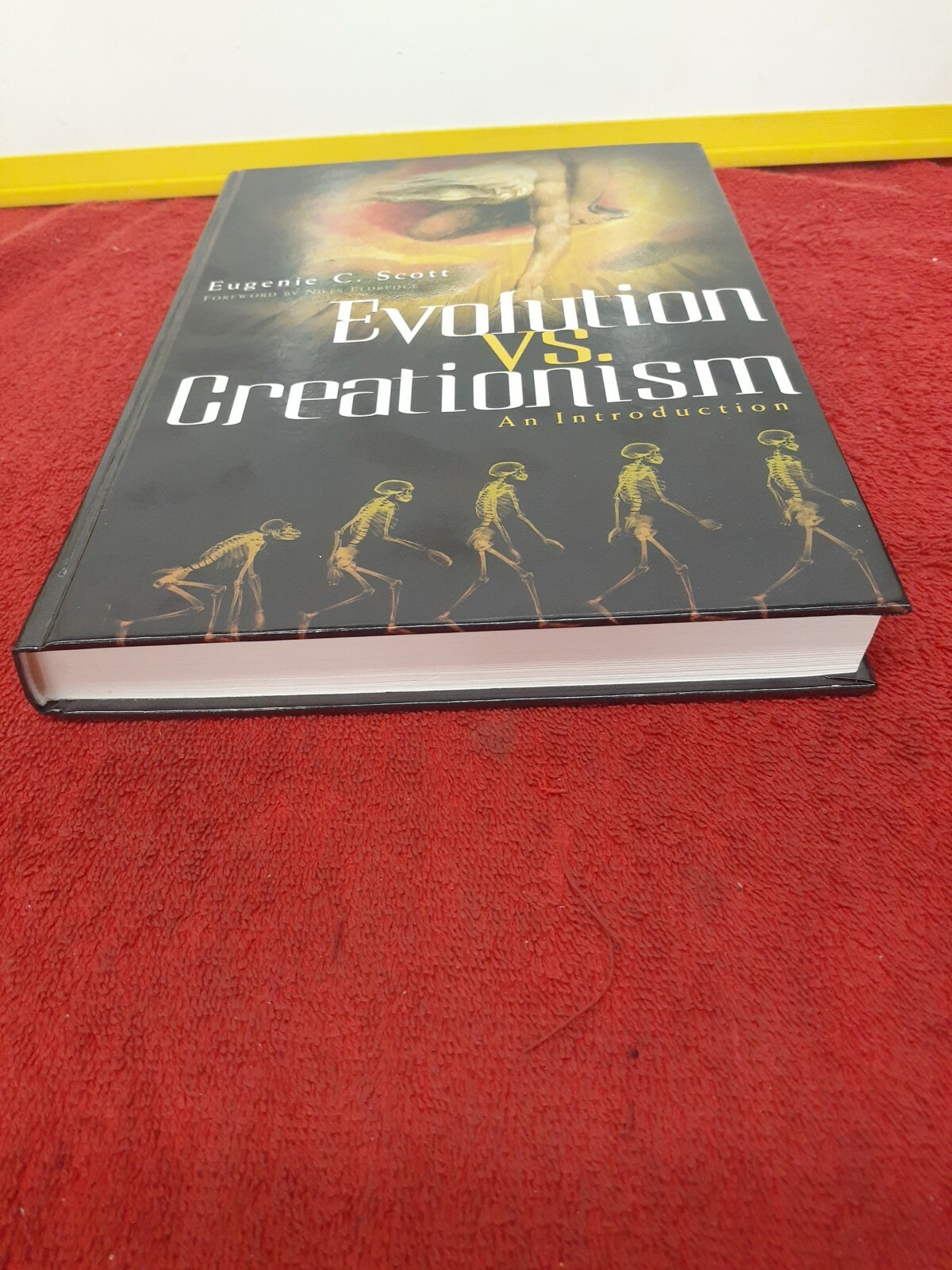 Evolution vs. Creationism : An Introduction Hardcover Eugenie C.