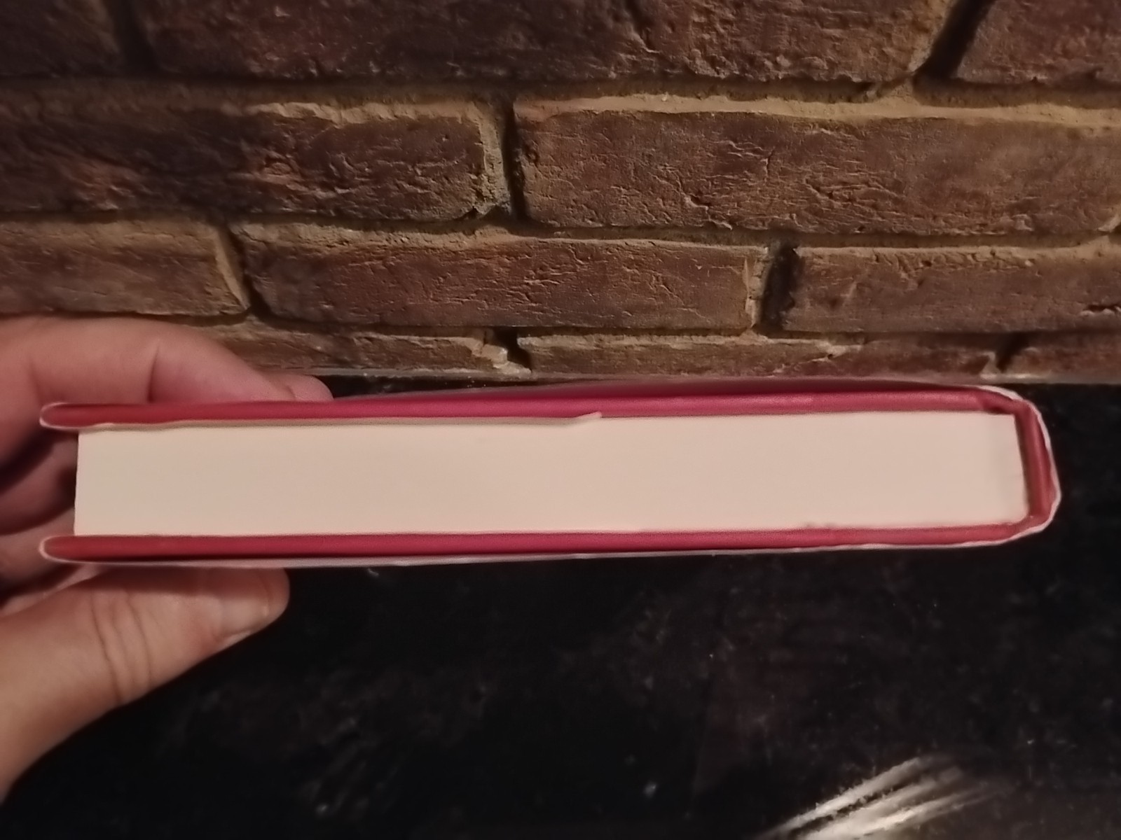 Inside Picture Books by Ellen Handler Spitz 1999 HC DJ First Edition