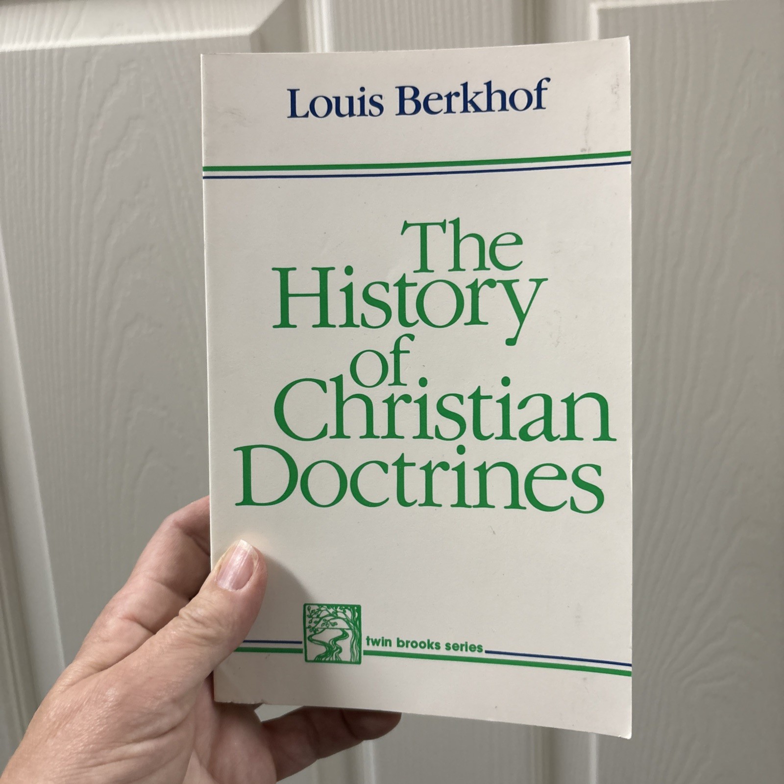 Twin Brook Ser.: History of Christian Doctrines by Louis Berkhof (1975, Trade…