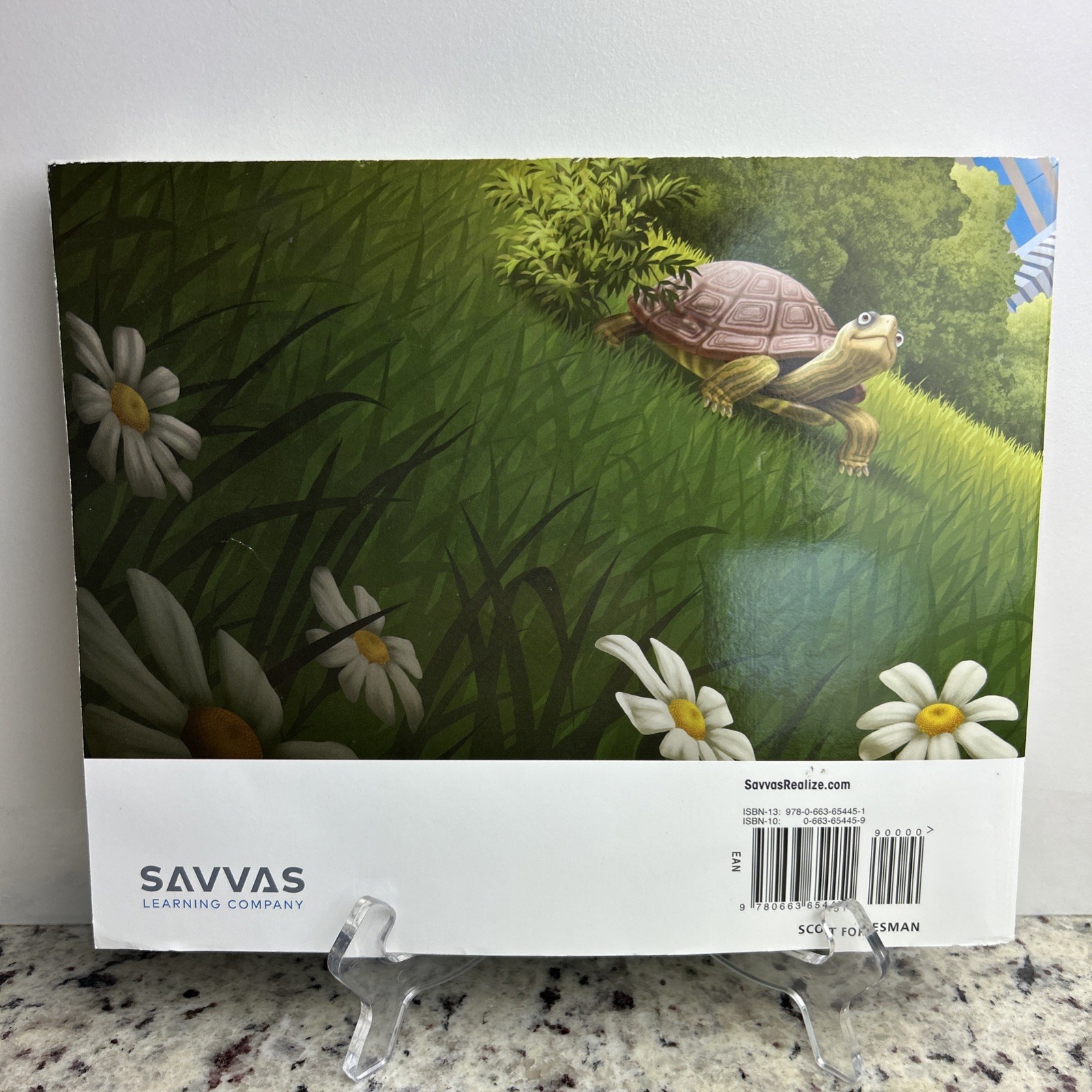 Envision Mathematics Indiana Grade 1 Volume 2 (2023) Savvas Learning Company
