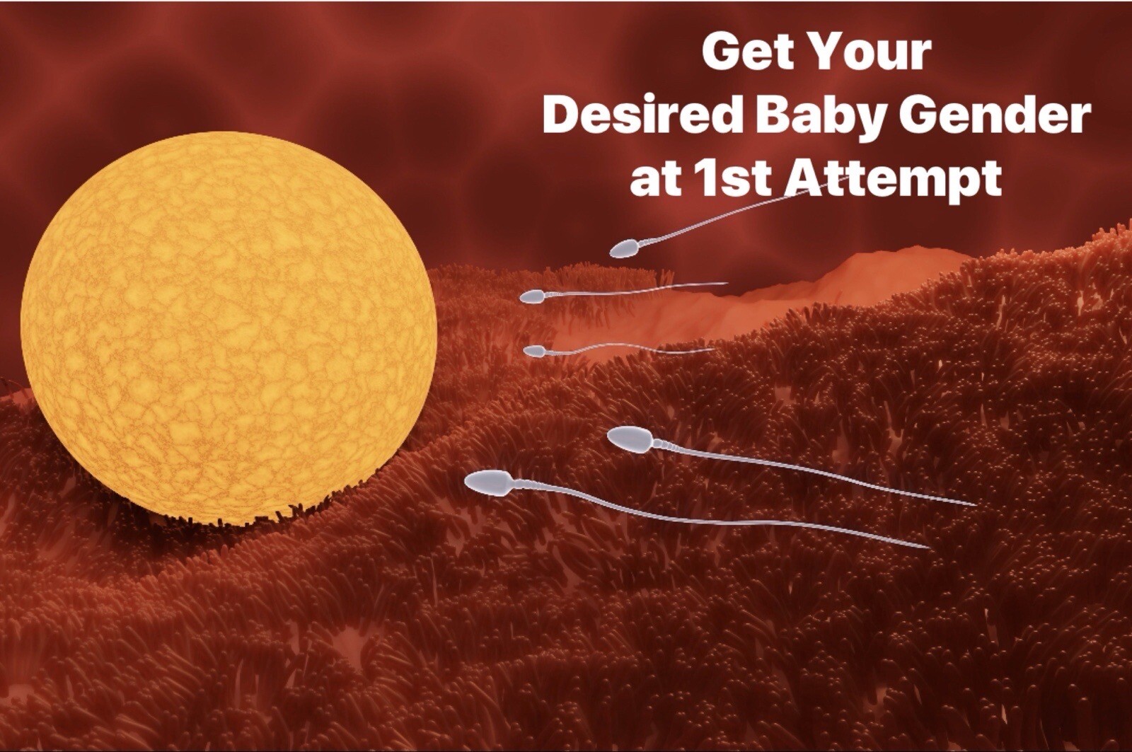 Natural Gender Selection eBook, Coaching Packages Available