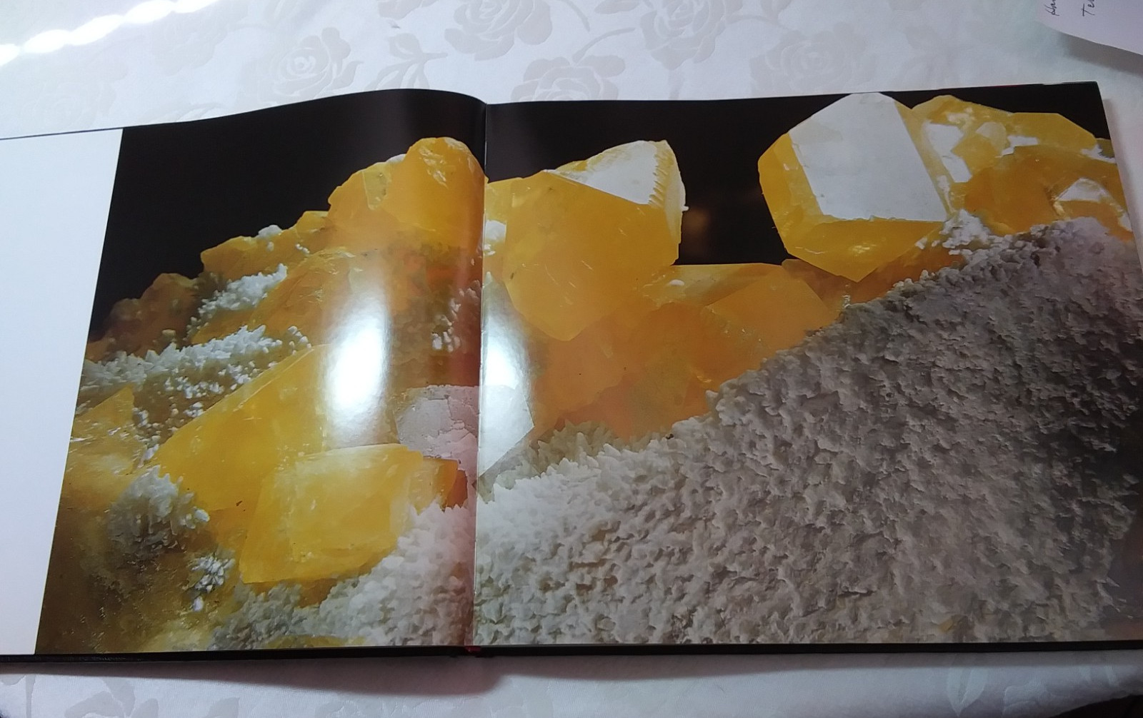 Rock identification book The Magic of Minerals 110 photos color large 196 pgs hb