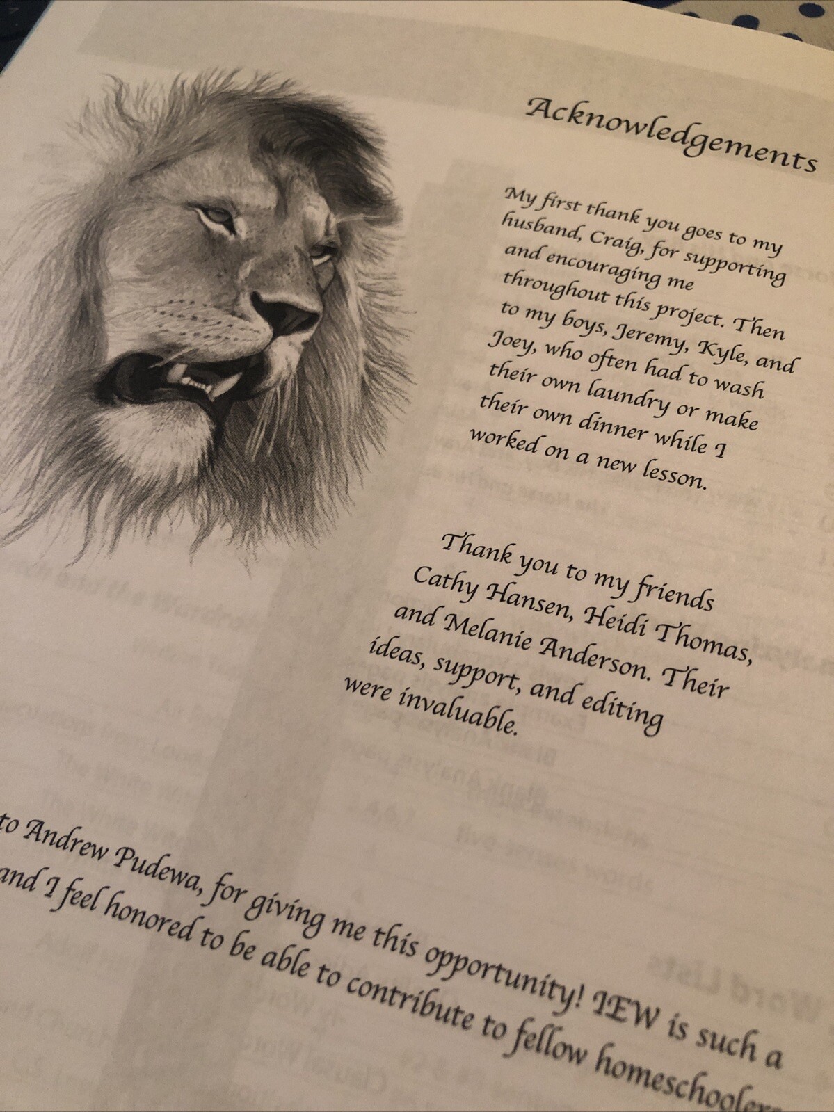 Following Narnia by Bettis (2012, Spiral) Excellence In Writing Student Book