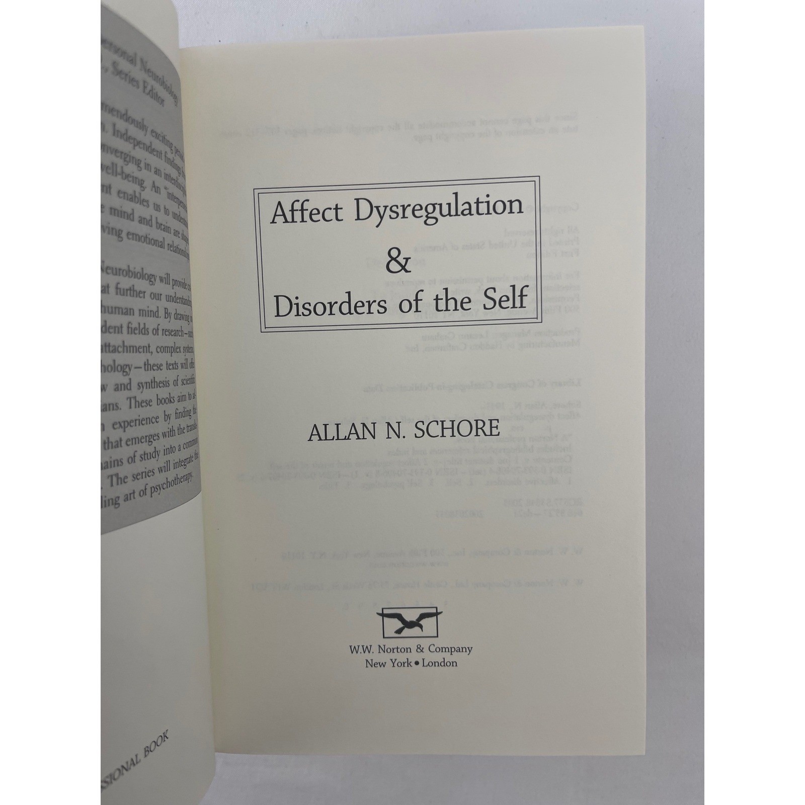 Allan N Schore Affect Regulation 2 Vol Set Disorders Repair of the Self 1st Ed
