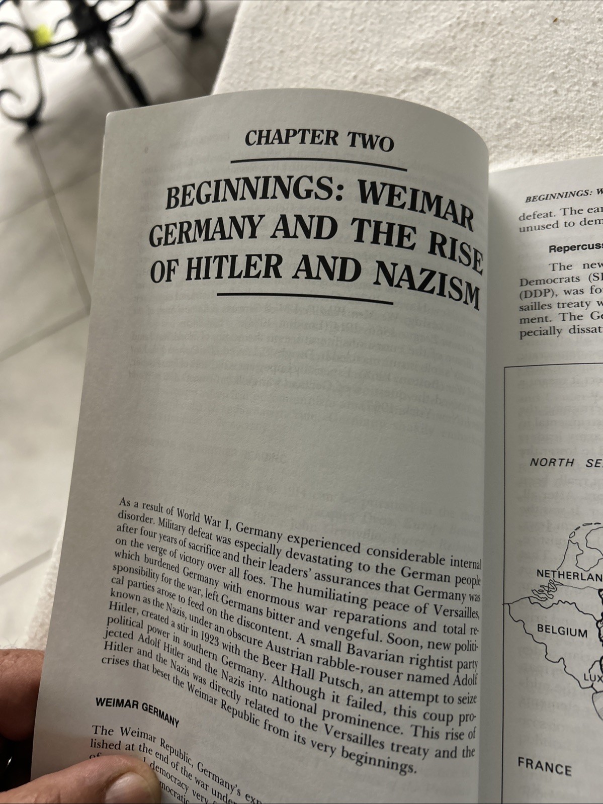 Hitler and Nazi Germany: A History by Spielvogel, Jackson P2