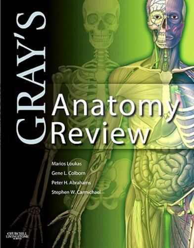 Gray’s Anatomy Review by Loukas, Marios; Tubbs, R. Shane; Abrahams, Peter H.