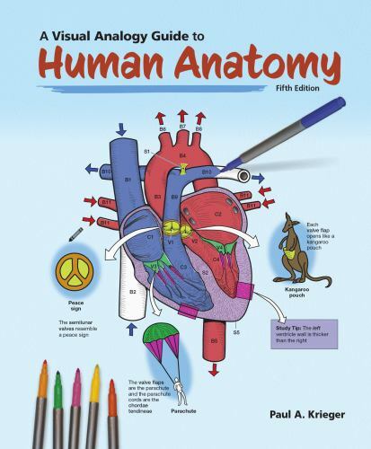 A Visual Analogy Guide to Human Anatomy by Paul A. Krieger