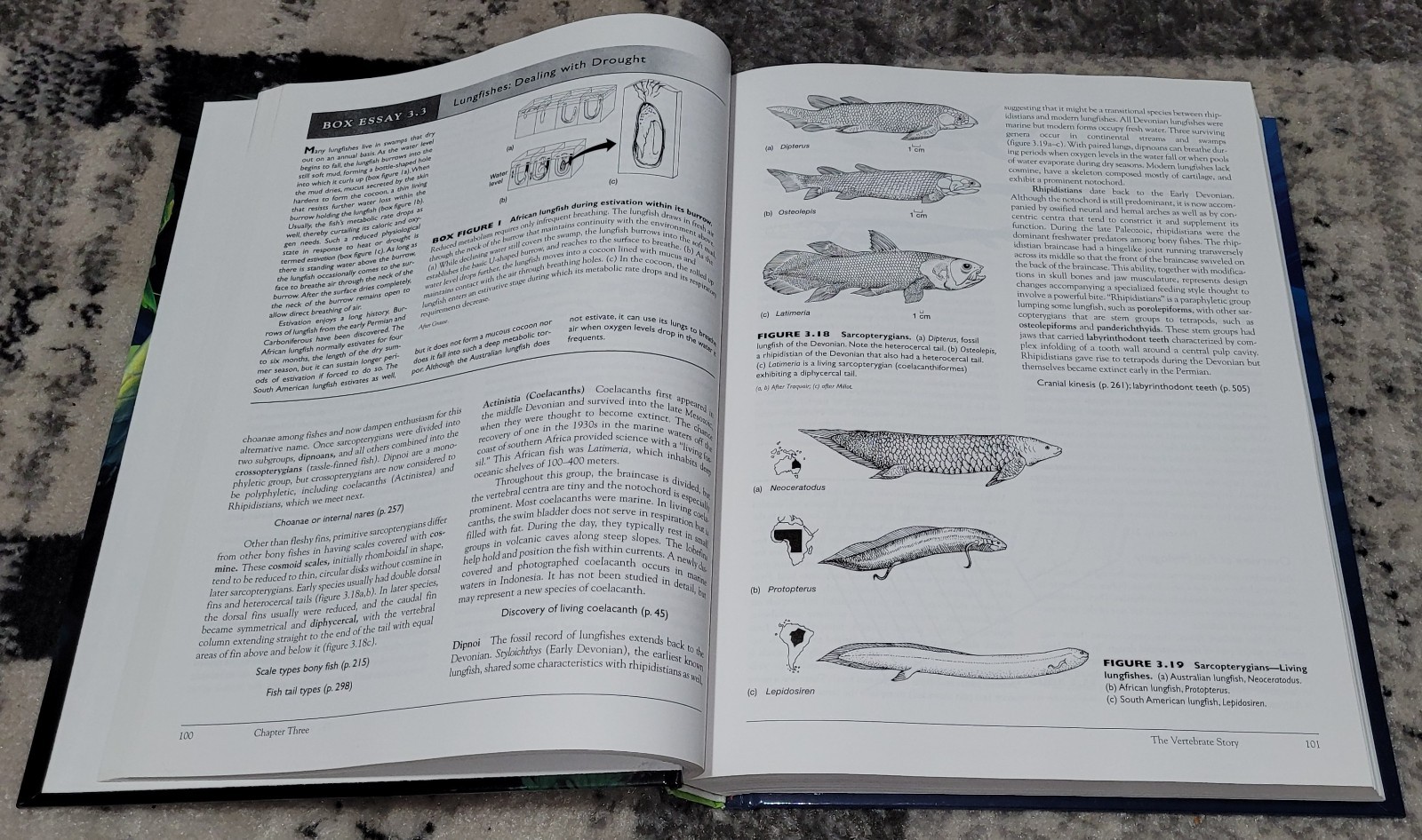 Vertebrates + Lab Dissection Manual