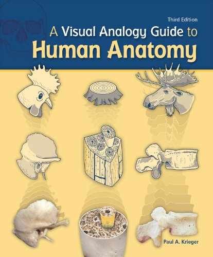 A Visual Analogy Guide to Human – Loose Leaf, by Krieger Paul A. – Very Good o