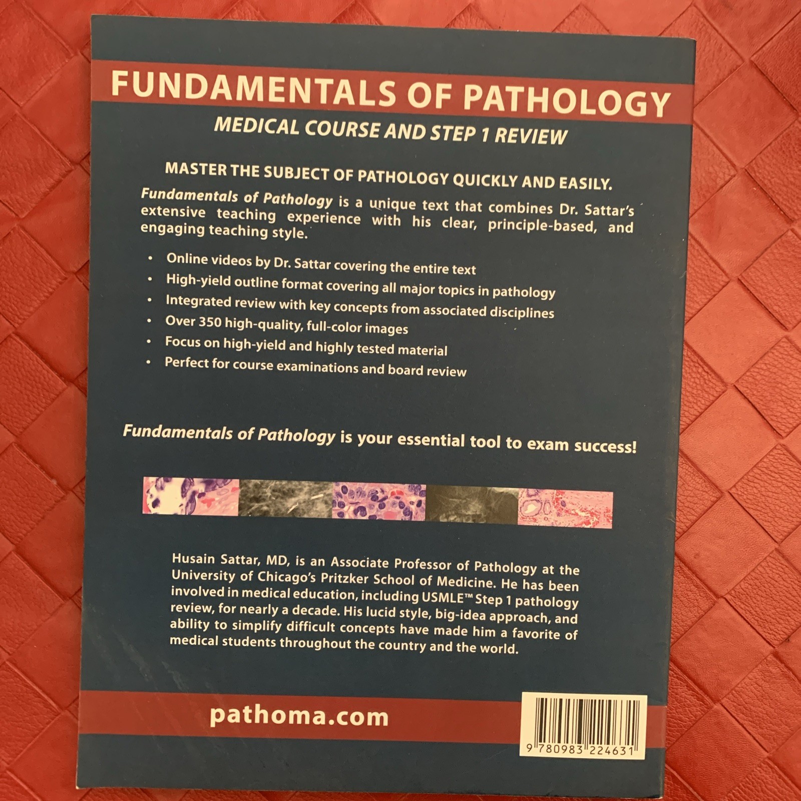 Pathoma 2024, by Husain A Sattar Medical Course