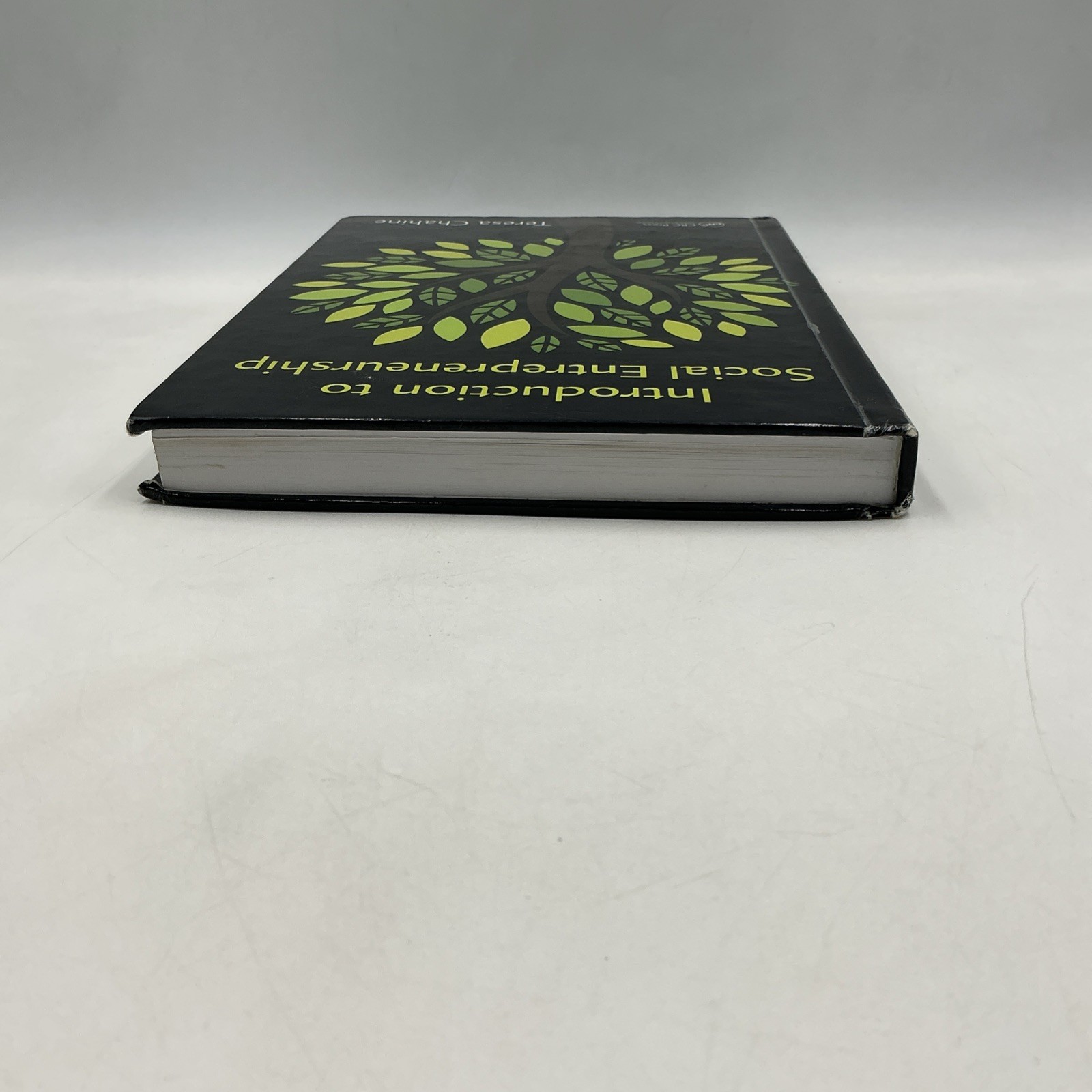 Introduction to Social Entrepreneurship by Teresa Chahine- CRC Press 2016-Good