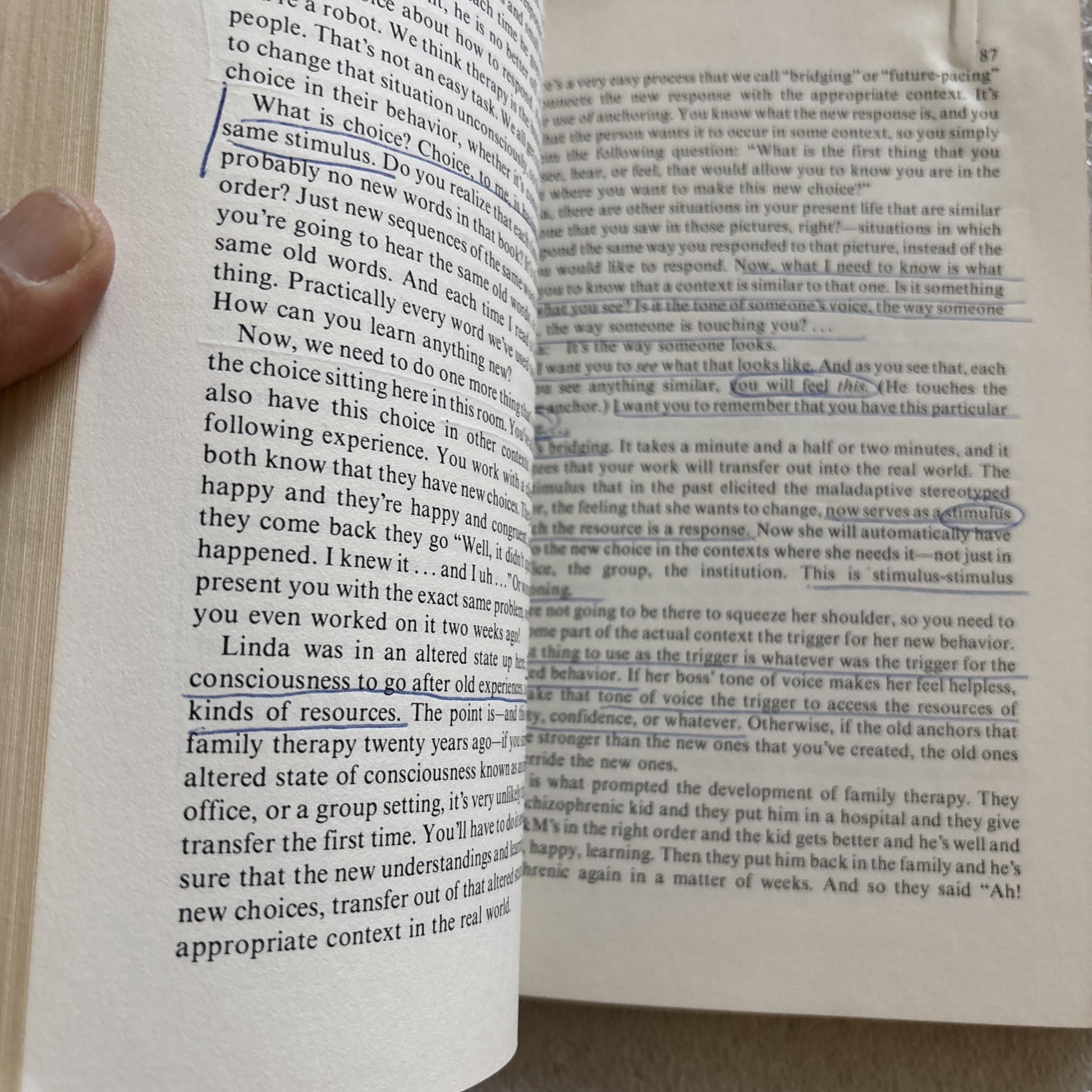 Frogs into Princes: Neuro Linguistic Programming (lots of underlining)