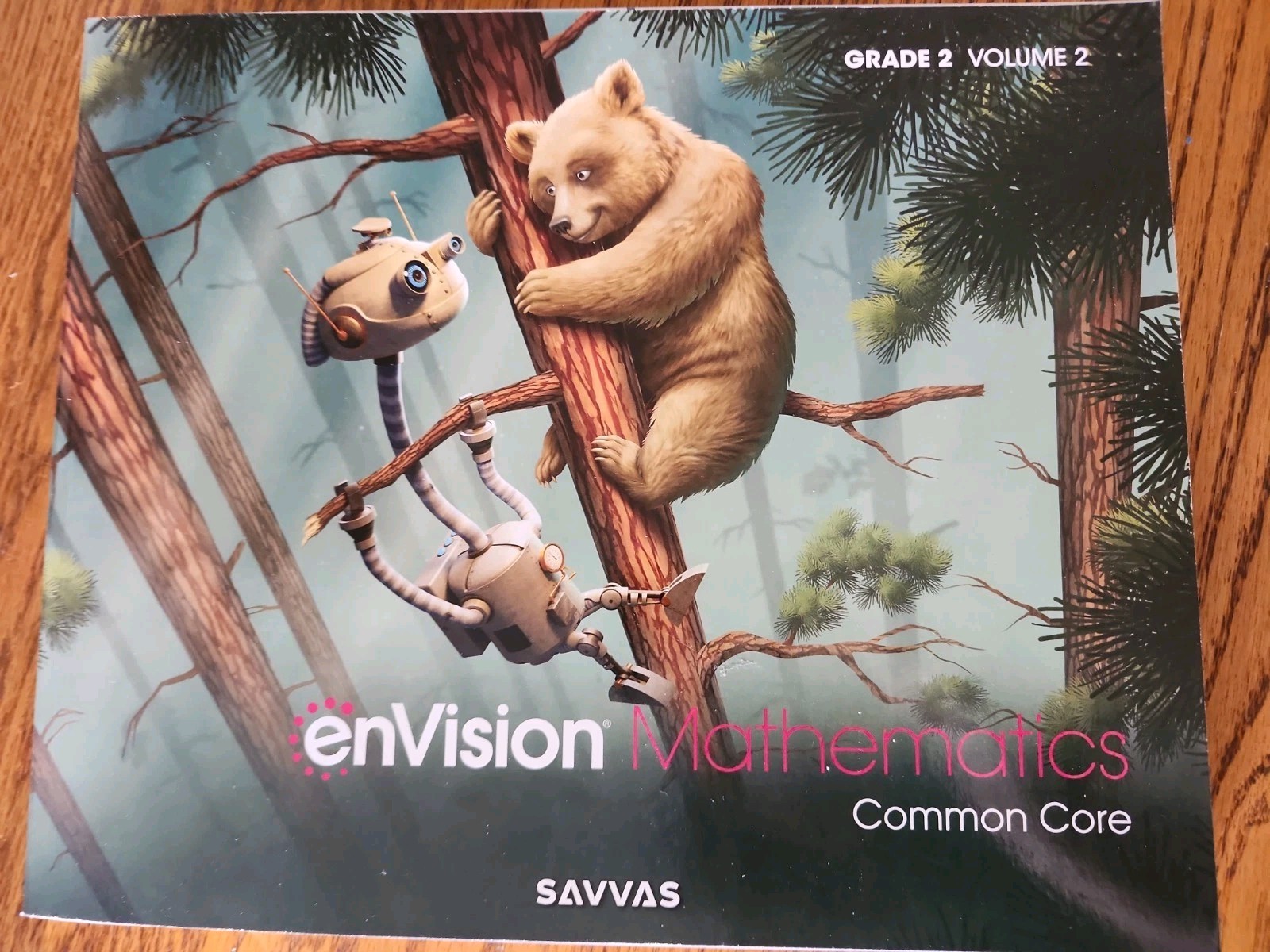 Envision Mathematics 2020 Common Core Student Edition Grade 2 Volume 2