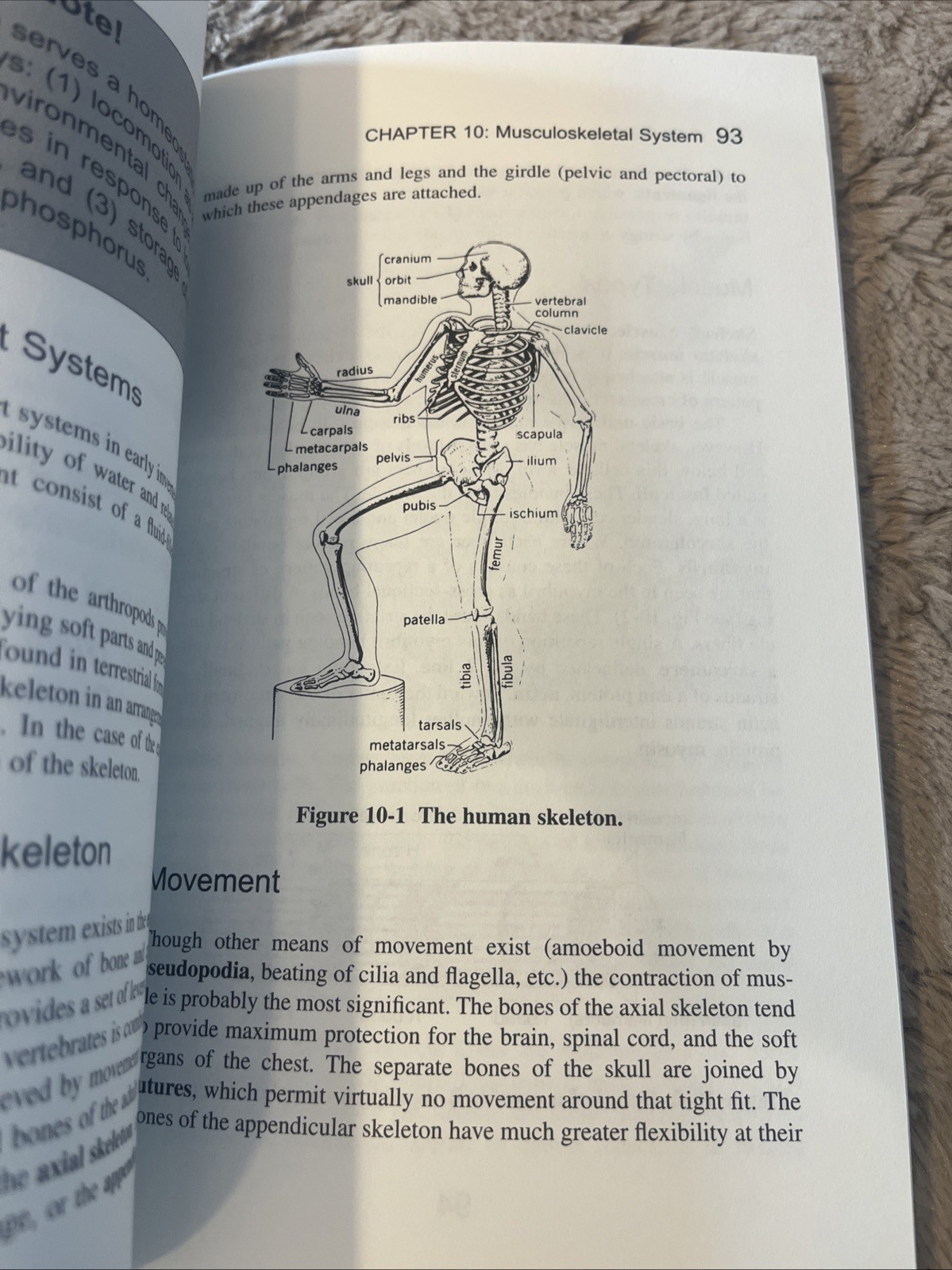 Schaum’s Outline Ser.: Schaum’s Easy Outline of Biology by George H. Fried#053