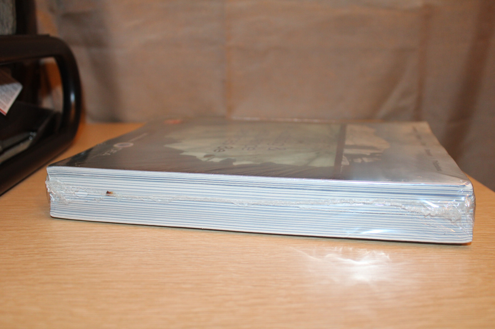 Loose Leaf for Auditing & Assurance Services by Penelope Bagley, Jay C. Thibodea