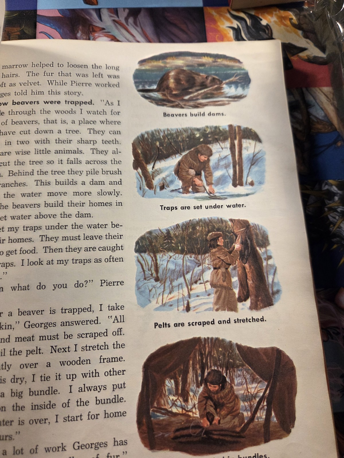 Vintage Teacher’s Edition 1960 – Your People And Mine Grade 4 Ex-Library Book