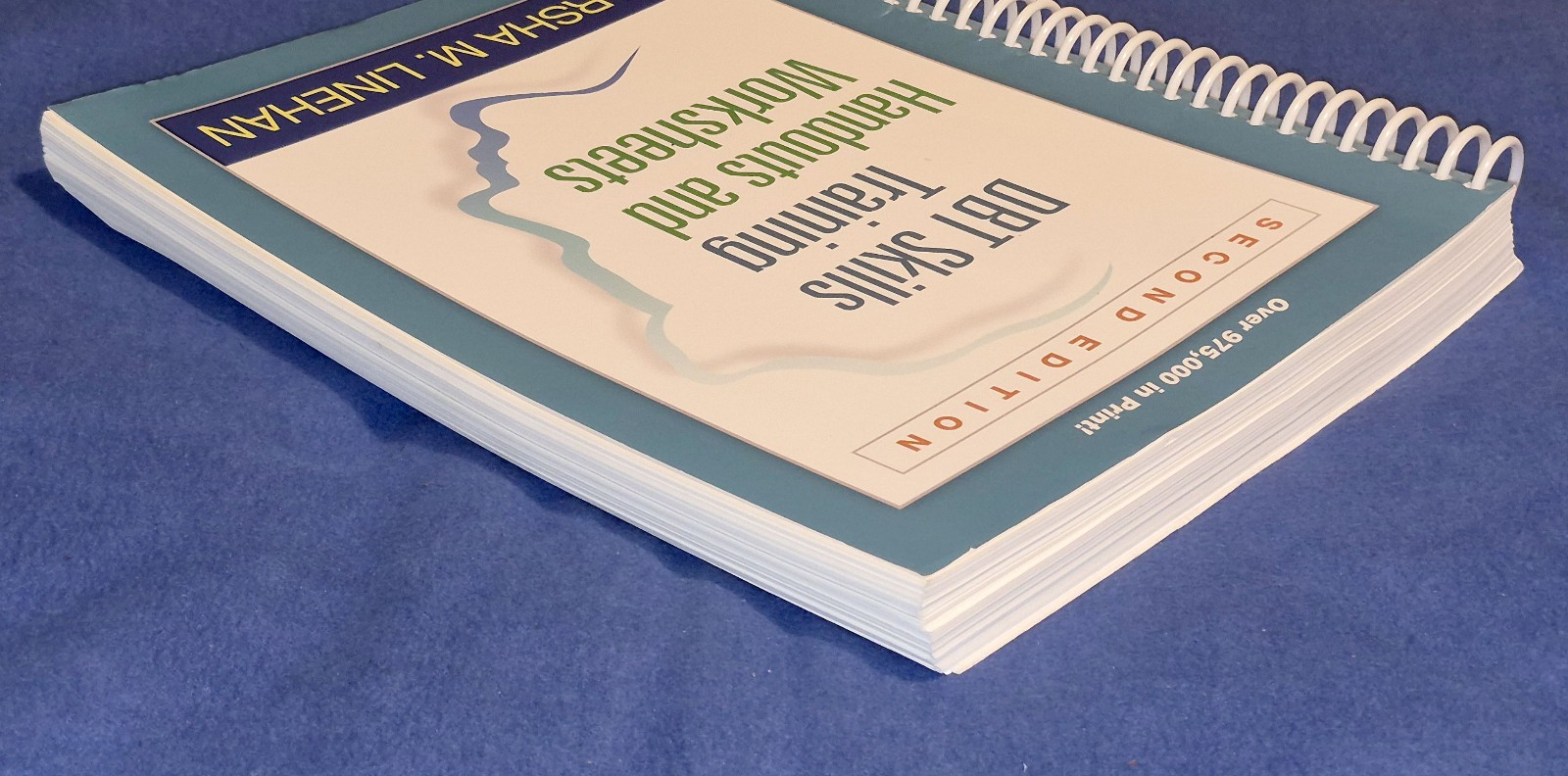 DBT Skills Training Handouts & Worksheets by Marsha M. Linehan – 2nd Edition