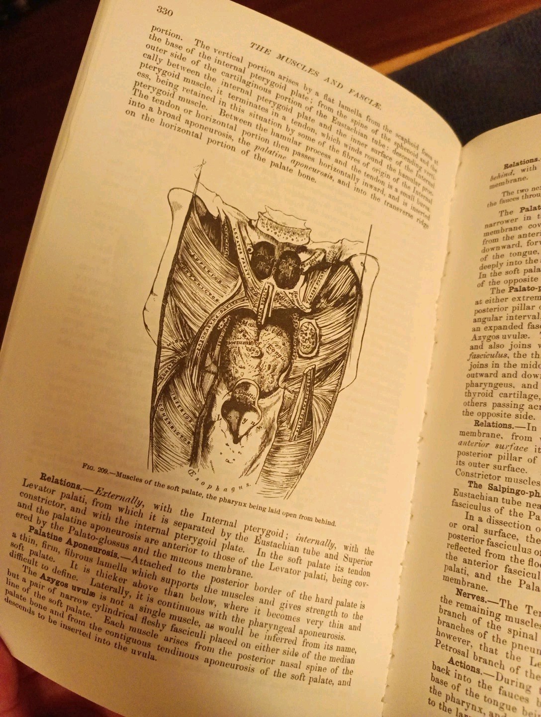 Gray’s Anatomy : The Unabridged Running Press Edition of the American Classic…