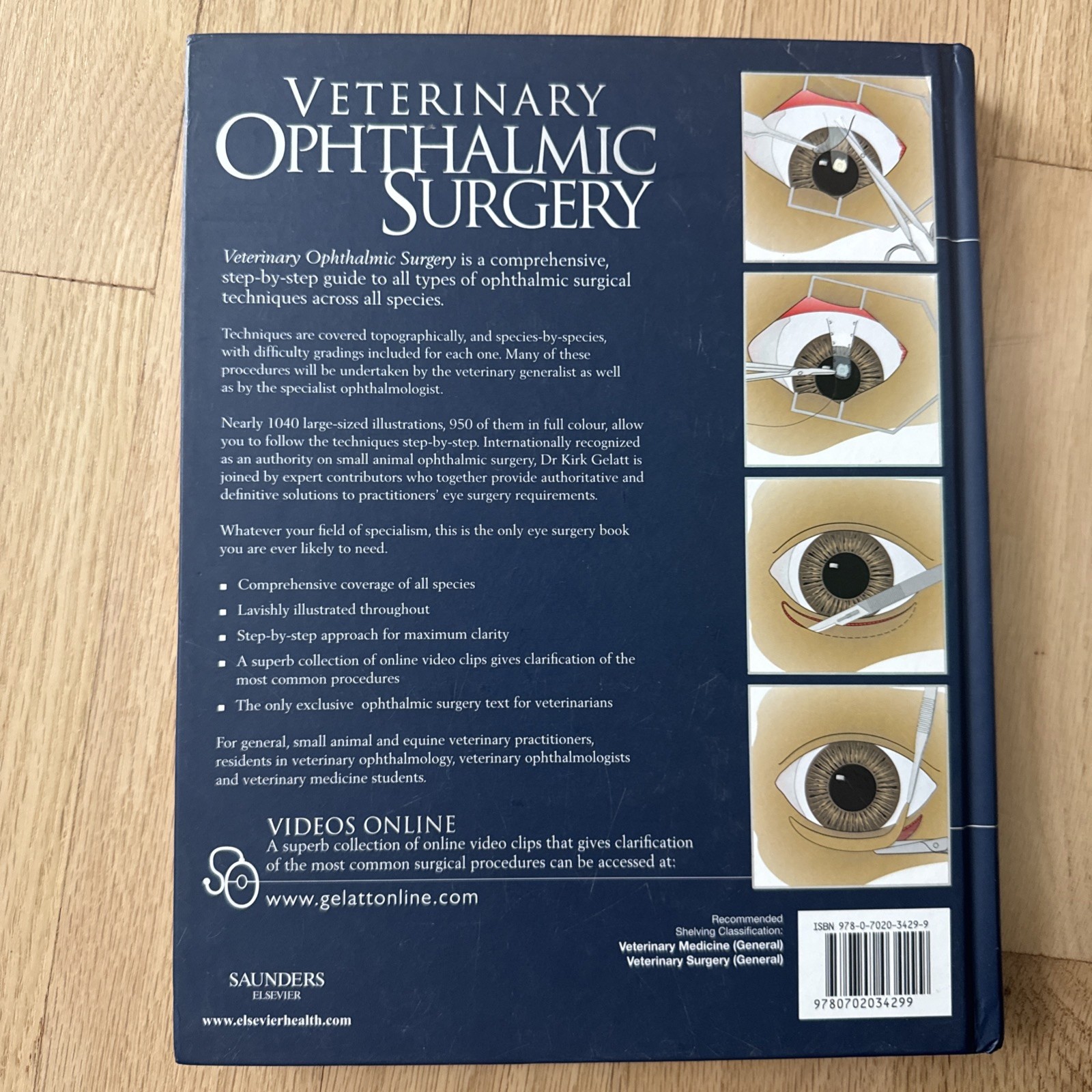 Veterinary Ophthalmic Surgery