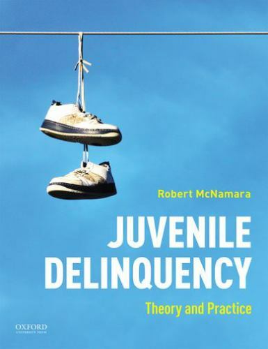 Juvenile Delinquency : Theory to Practice by Robert McNamara (2020, Trade…