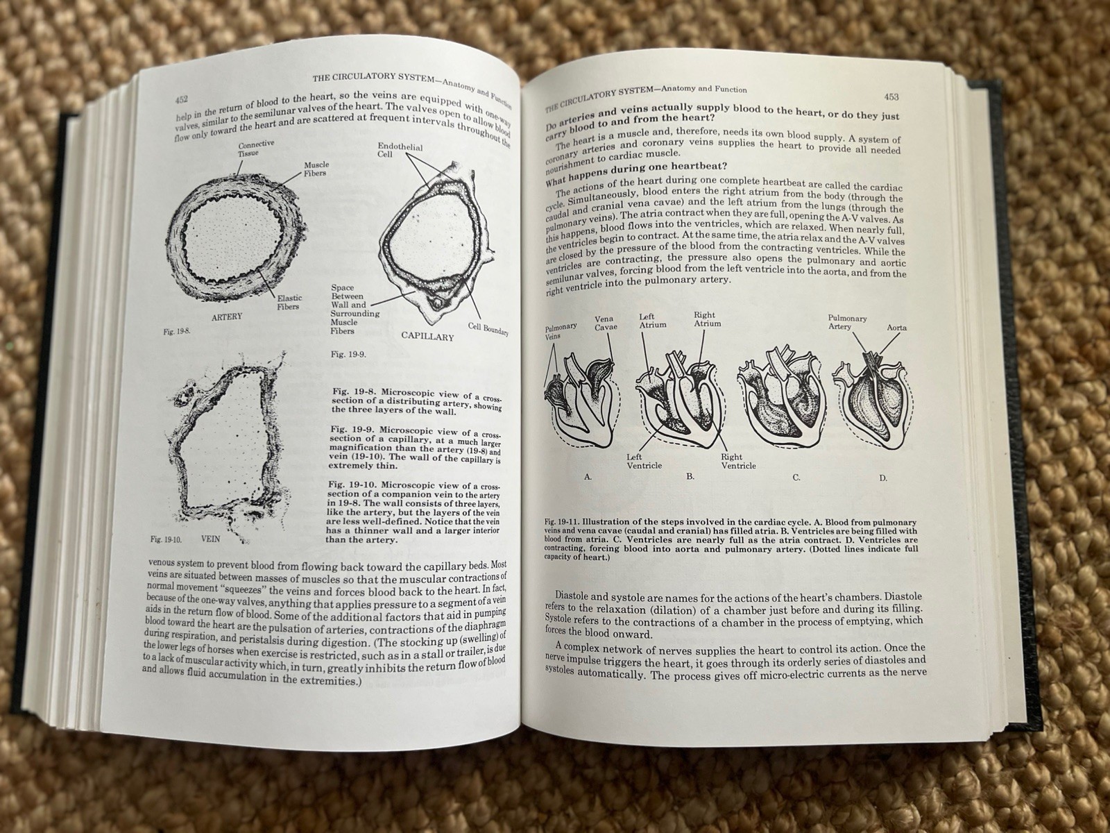 THE ILLUSTRATED VETERINARY ENCYCLOPEDIA FOR HORSEMEN