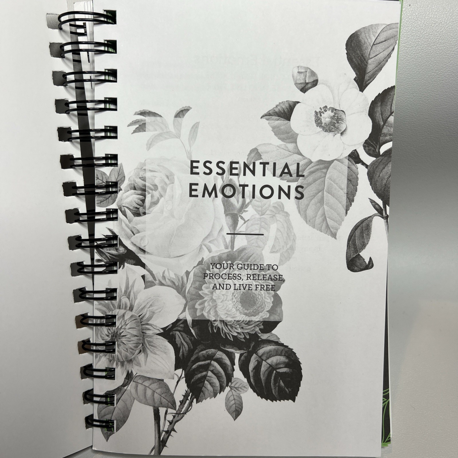 Essential Emotions Book Edition 8 – US by Essential Emotions (2019, Spiral) VG