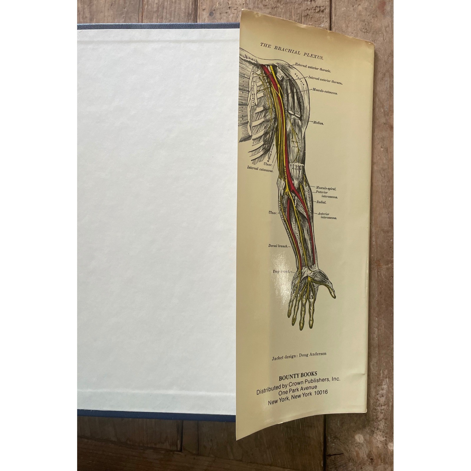 Gray’s Anatomy Classic Collector’s Edition 1977 Bounty Books Hardcover Medical