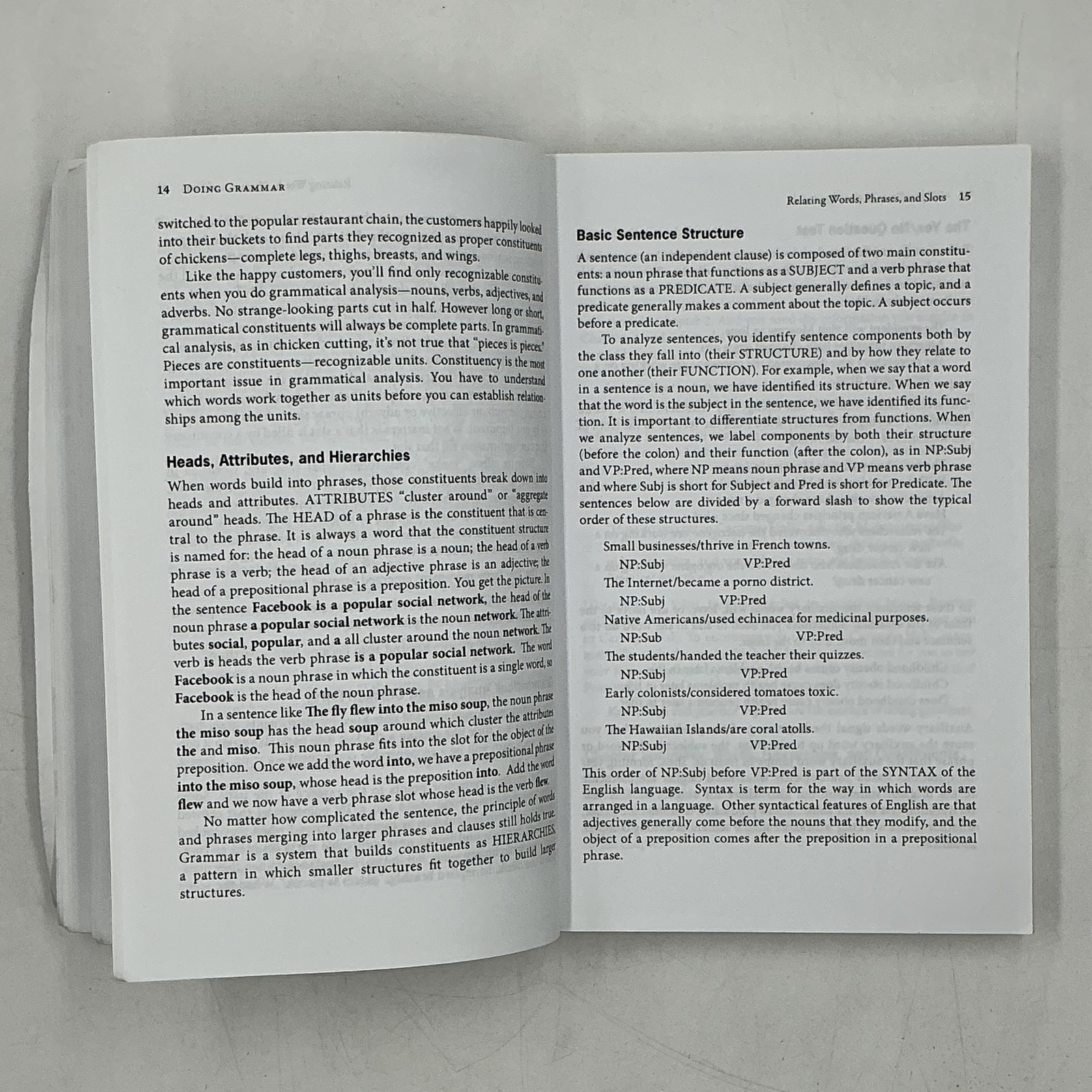 Doing Grammar Max Morenberg Oxford University Press White Trade PB 2014 USA