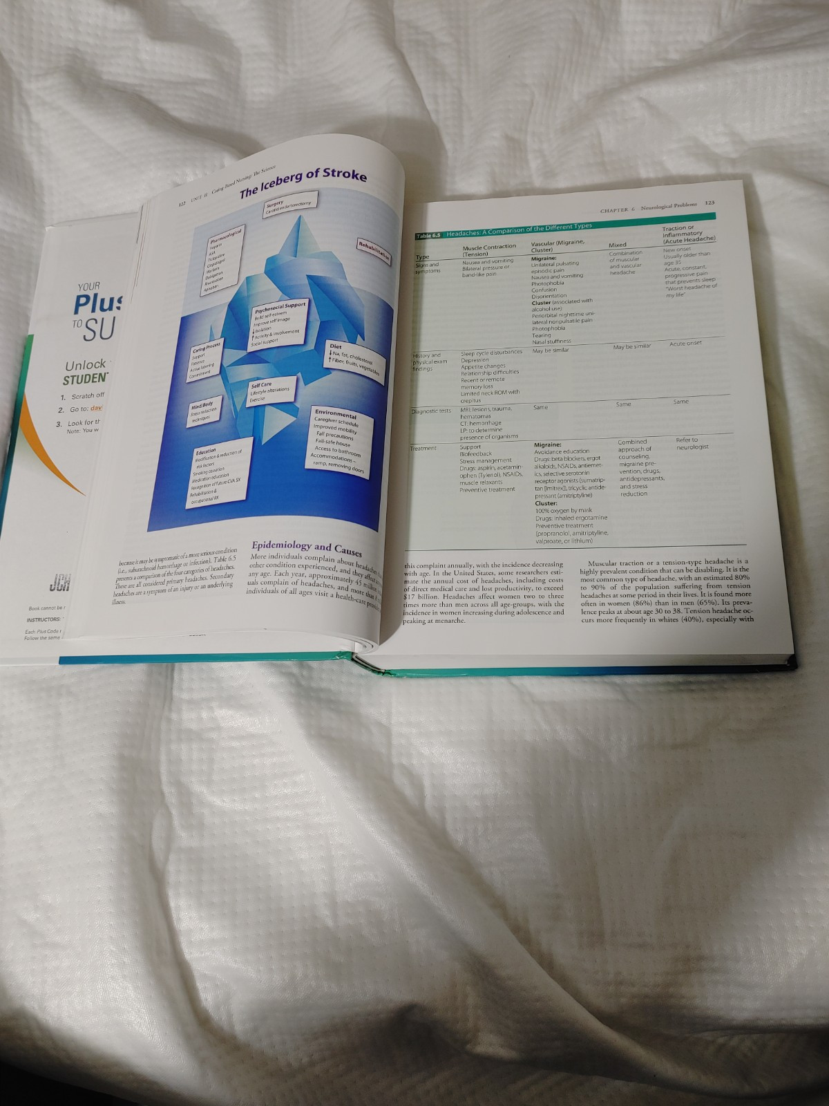 Primary Care the Art and Science of Advanced Practice Nursing : 4th Edition