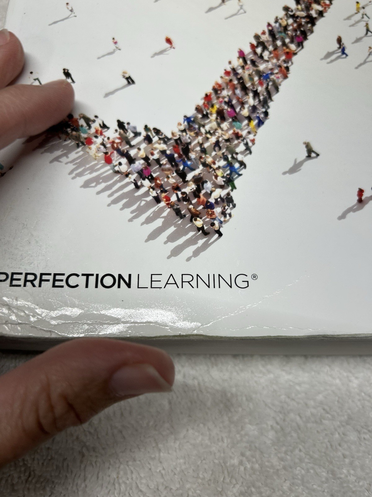 Advanced Placement United States Government & Politics, 3rd Edition by David…