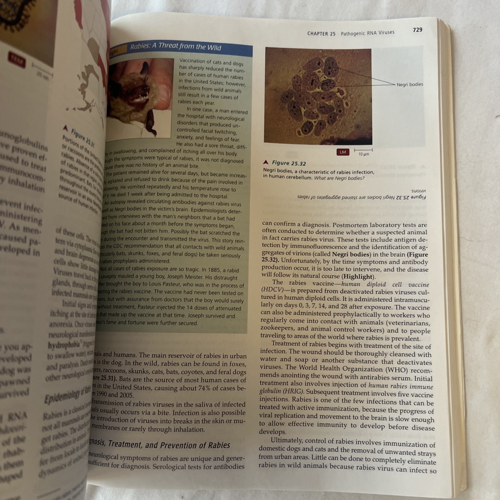 Microbiology with Diseases by Taxonomy by Bauman, Robert W., PH.D. W/ CD ROM