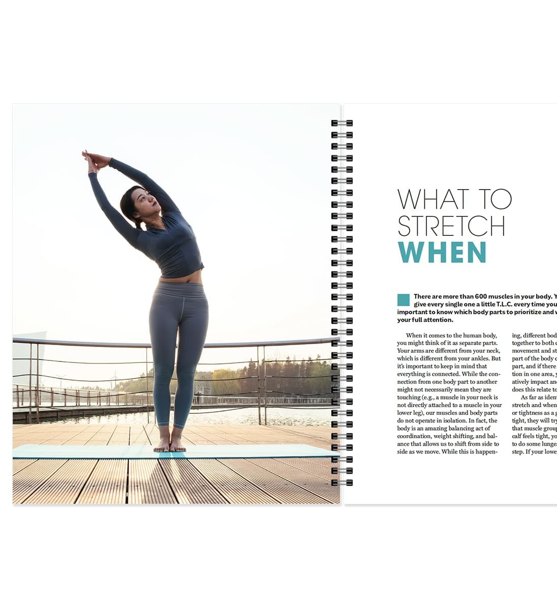 Stretch Yourself Healthy Guide: Easy Routines to Relieve Pain, Boost Energy,…