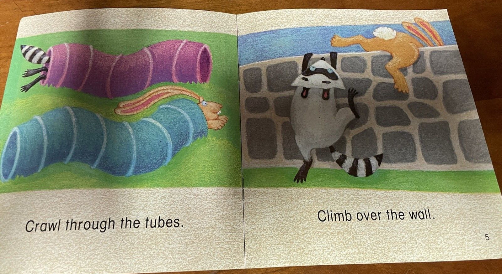 Little Celebrations The Race paperback book #494