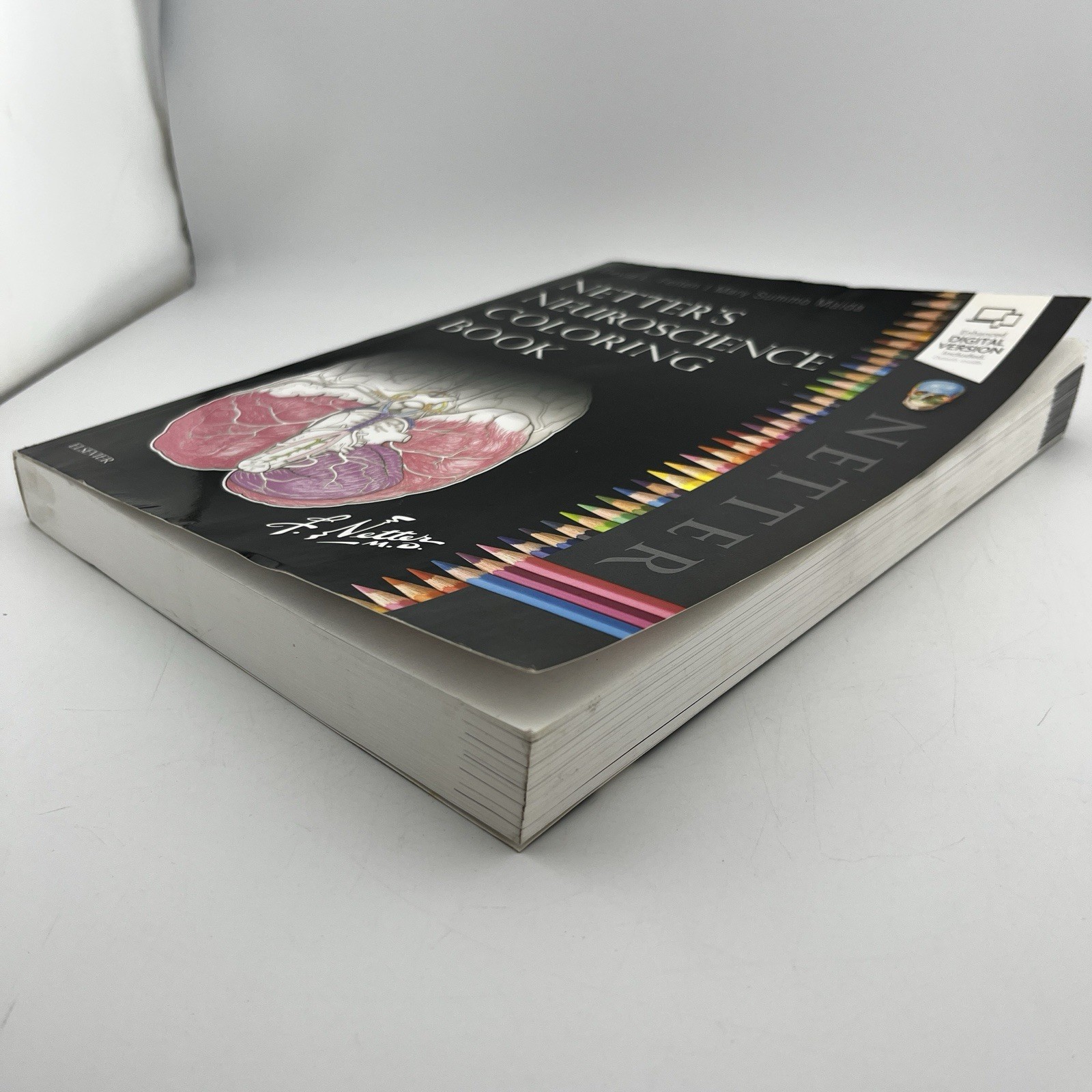 Netter’s Neuroscience Coloring Book, 1e,David L. Felten MD PhD,Mary E Maida P