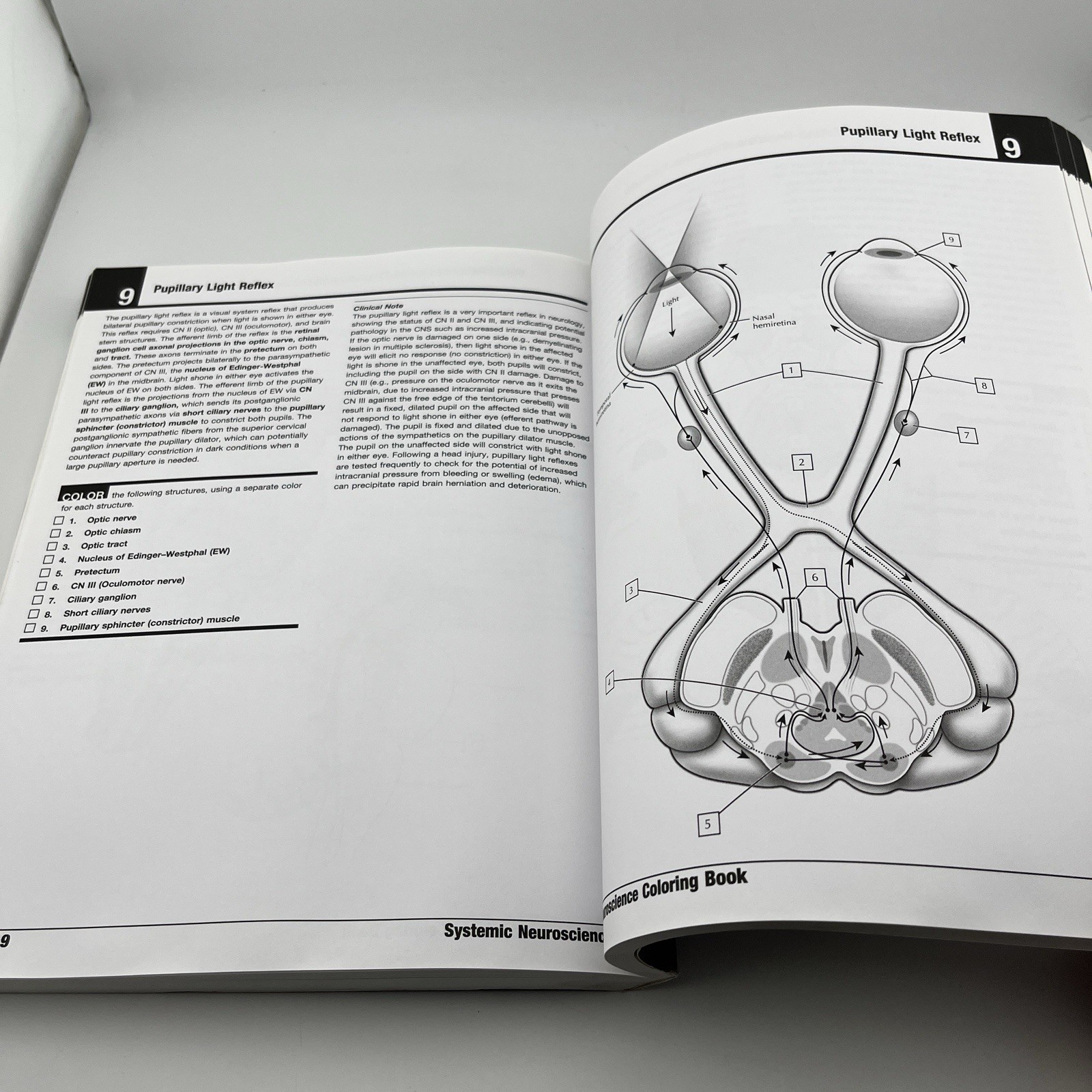 Netter’s Neuroscience Coloring Book, 1e,David L. Felten MD PhD,Mary E Maida P