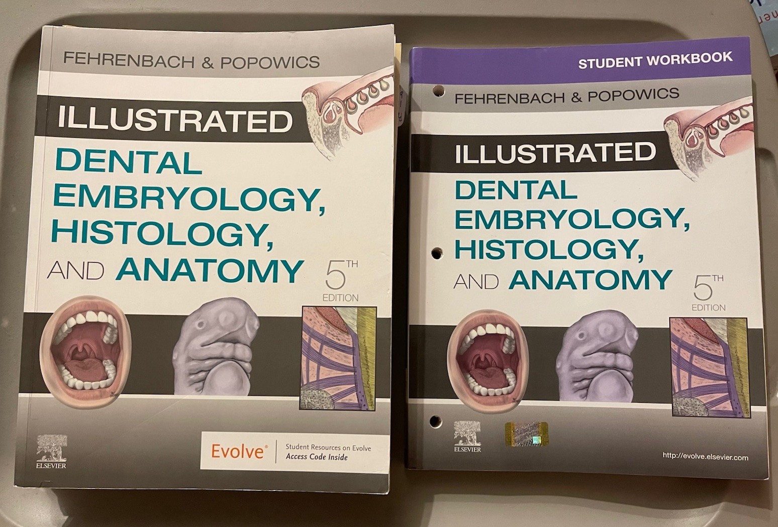 Illustrated Dental Embryology, Histology, and Anatomy by Margaret J. Fehrenbach
