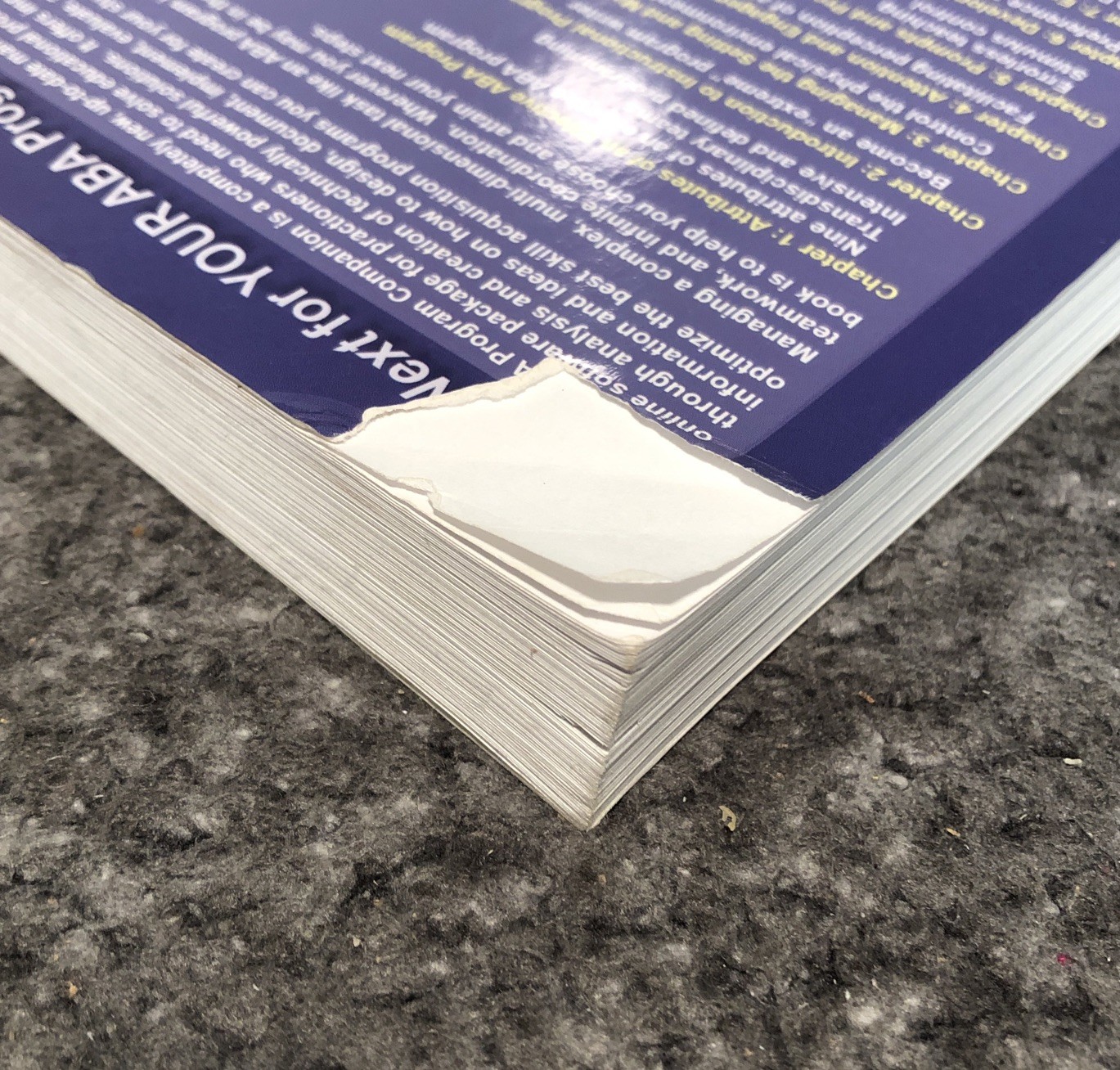 The New ABA Program Companion