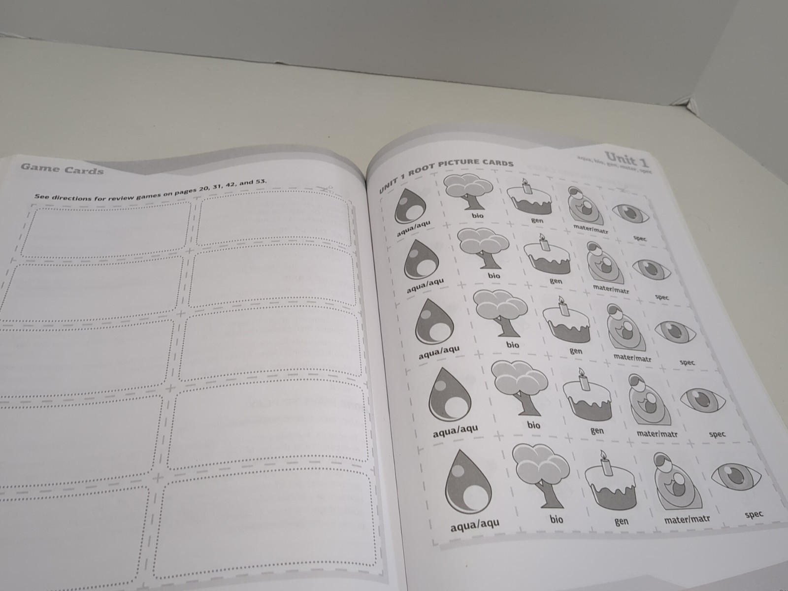 Vocabulary Packets-Greek & Latin Roots Workbook Grades 4-8 Scholastic Pre-owned