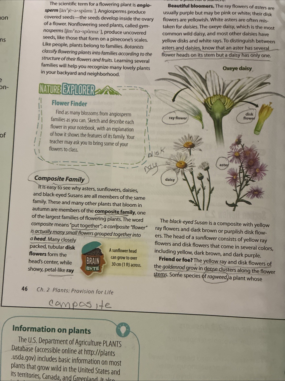 Abeka Science: Order and Design Teacher Edition Volumes 1 and 2 – Second Edition