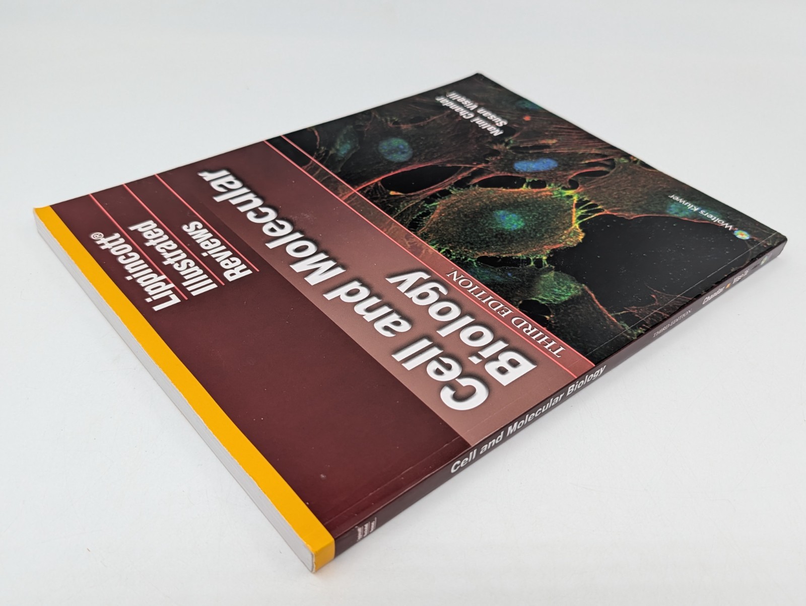 Lippincott Illustrated Reviews: Cell and Molecular Biology – THIRD EDITION