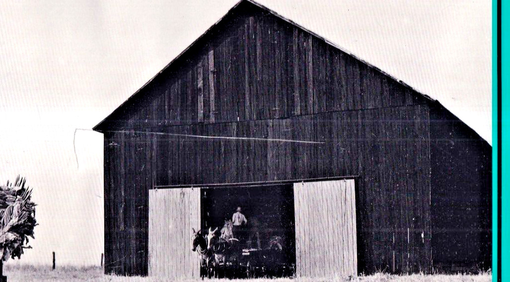 KENTUCKY ALBUM: FARM SECURITY ADMINISTRATION PHOTOGRAPHS, 1935-1943 (1986 HC){X8