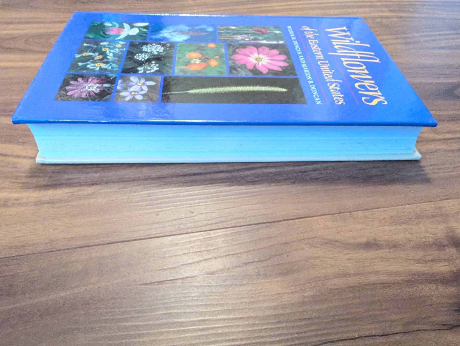 Wildflowers of the Eastern United States by Wilbur H Duncan Hardcover