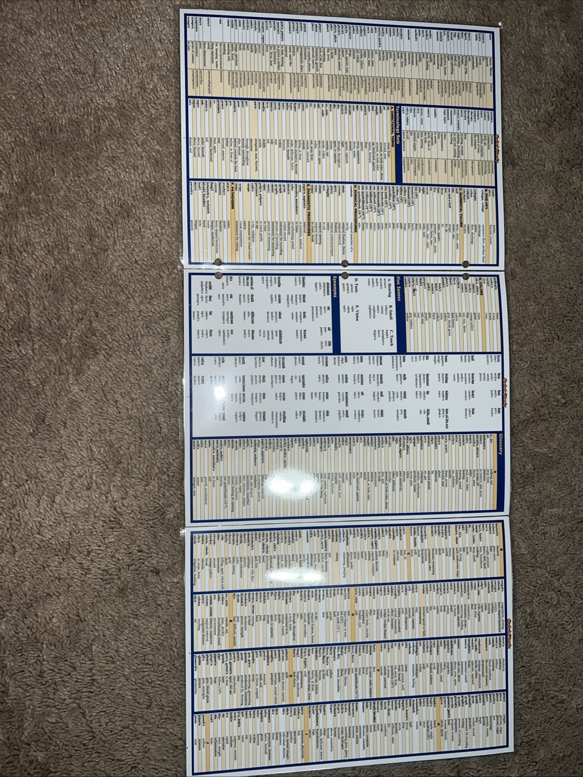 Medical Terminology: the Basics : A QuickStudy Laminated Reference