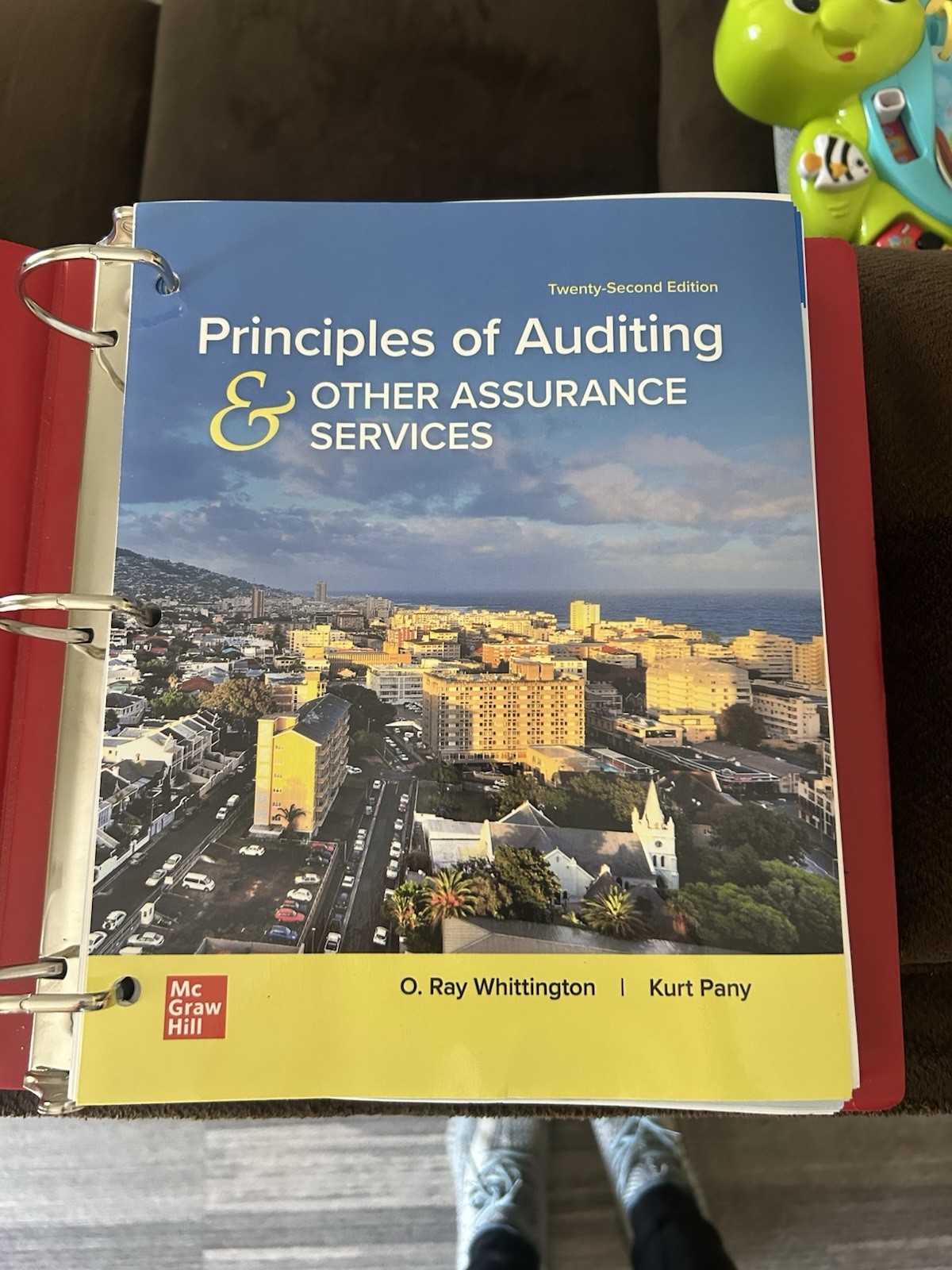 Principles of Auditing & Other Assurance Kurt Pany & Ray Whittington