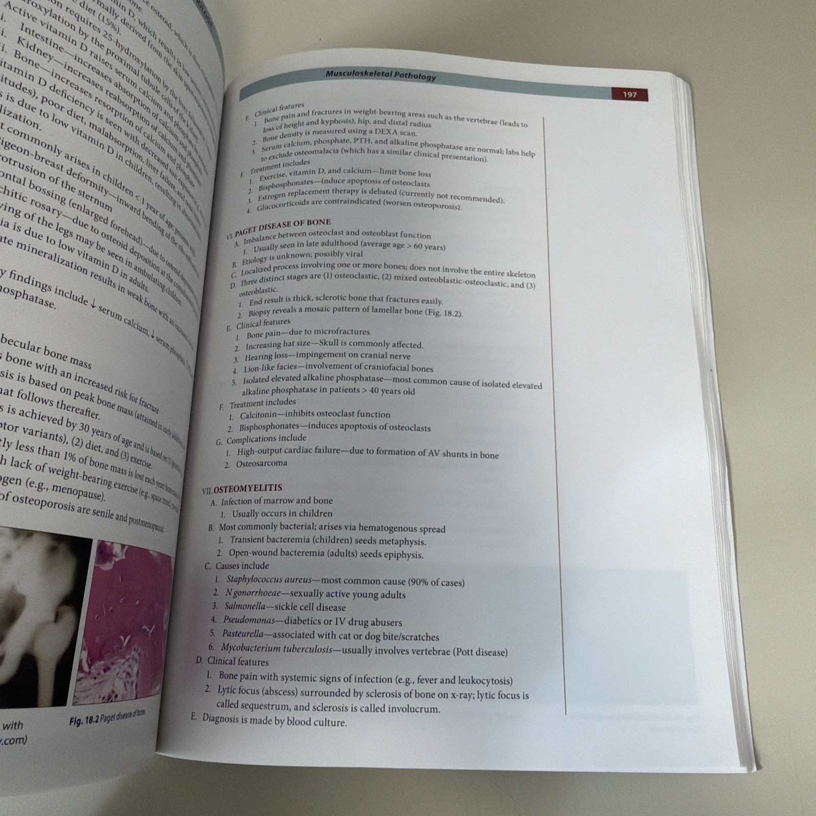 Fundamentals of Pathology by Hussain A. Sattar (2019 Paperback)